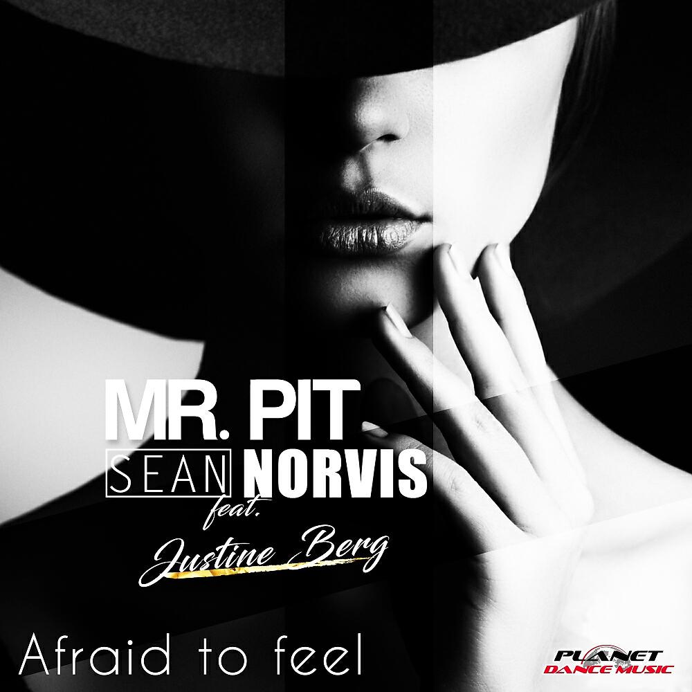 Mr. Pit - Afraid To Feel (Sean Norvis Remix)