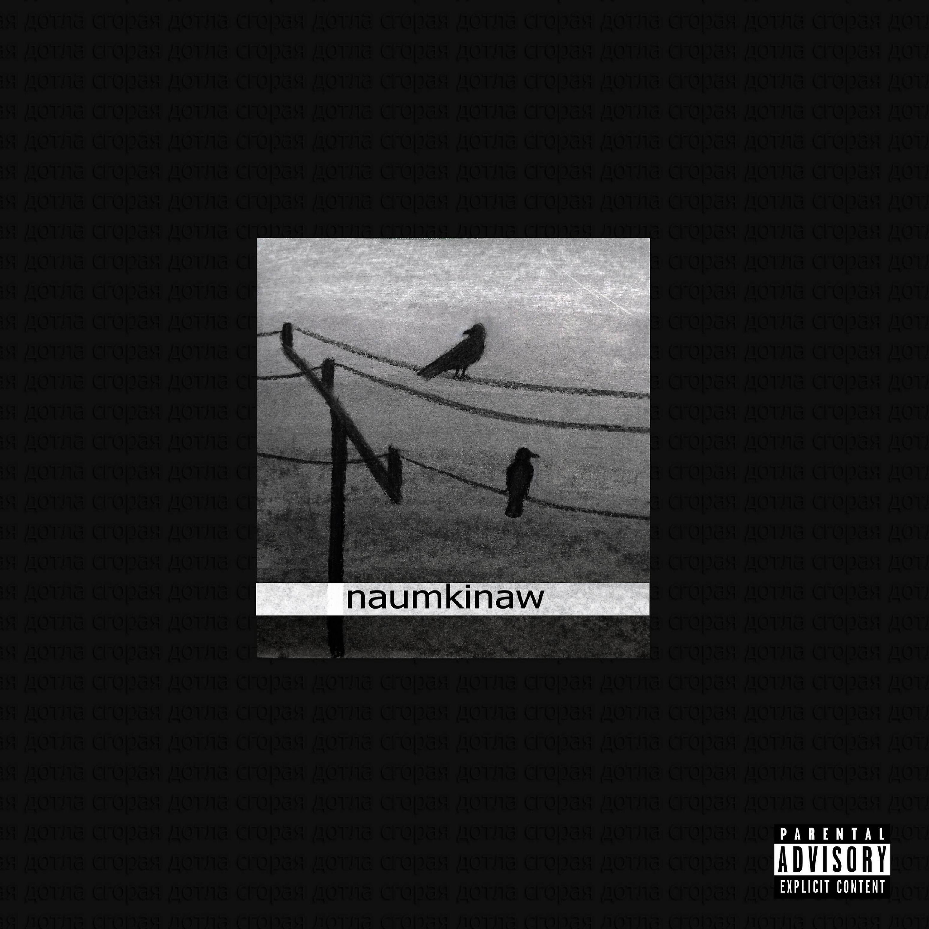 Альбом Сгорая дотла исполнителя naumkinaw