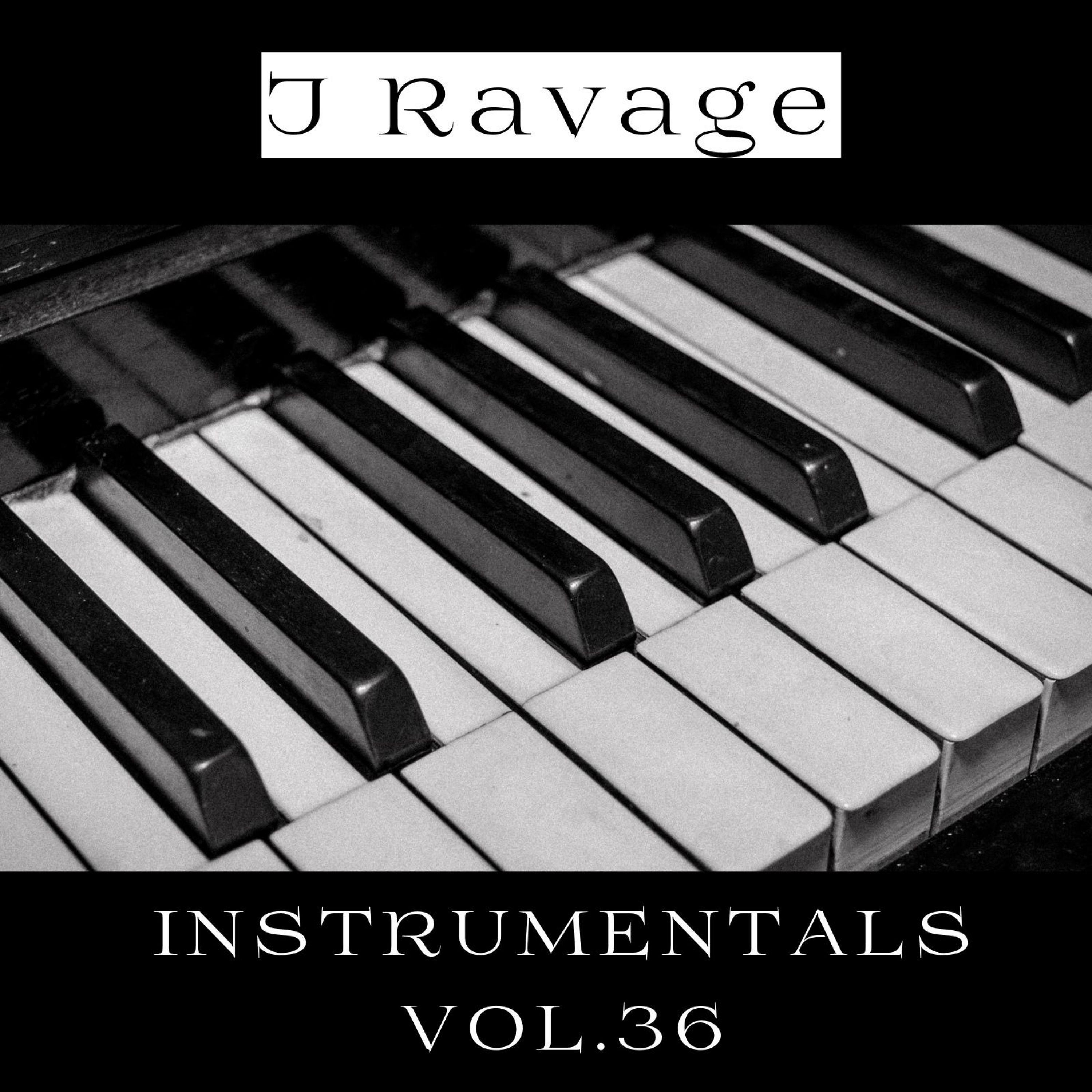 Постер альбома J Ravage Instrumentals, Vol. 36