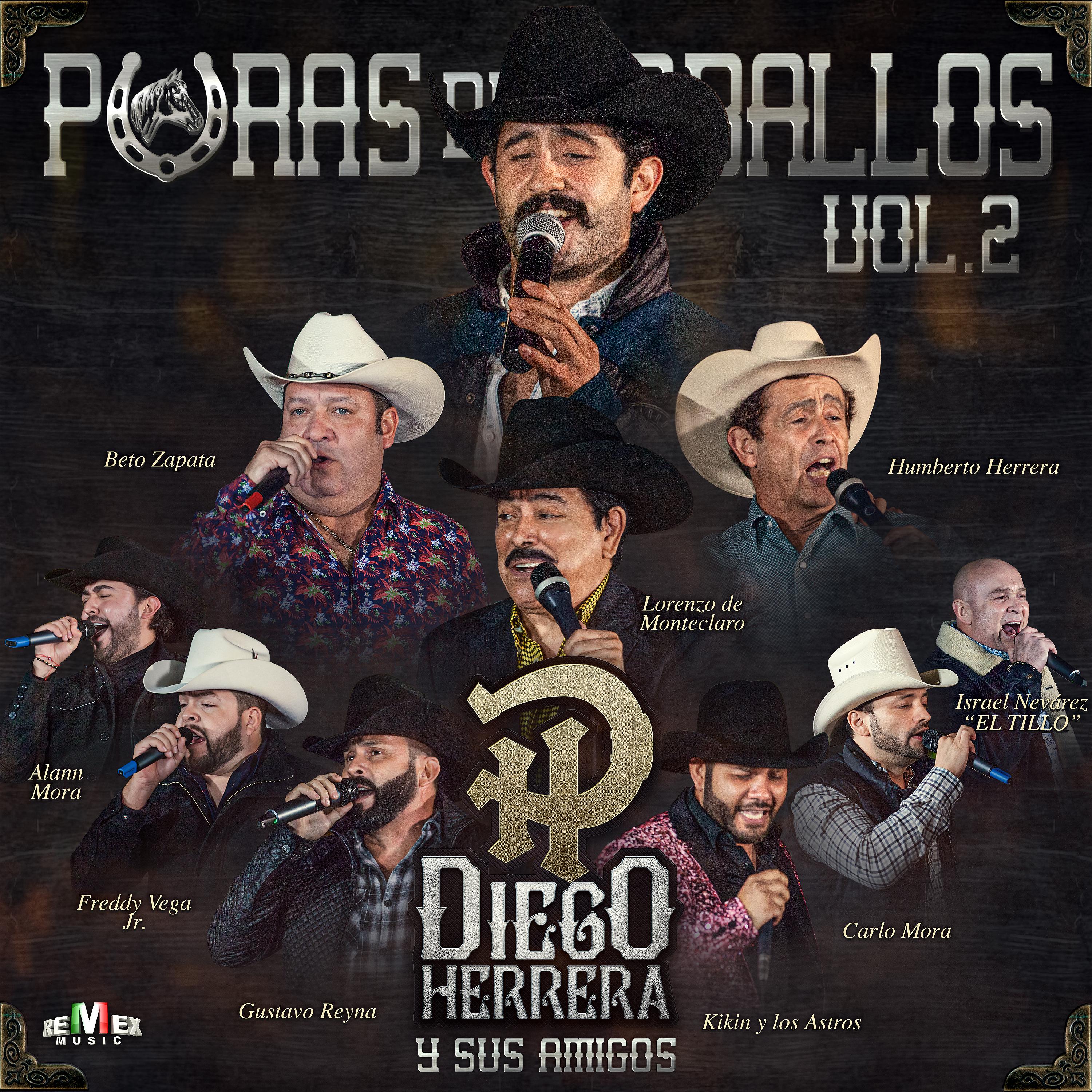 Постер альбома Diego Herrera y Sus Amigos - Puras de Caballos Vol. 2