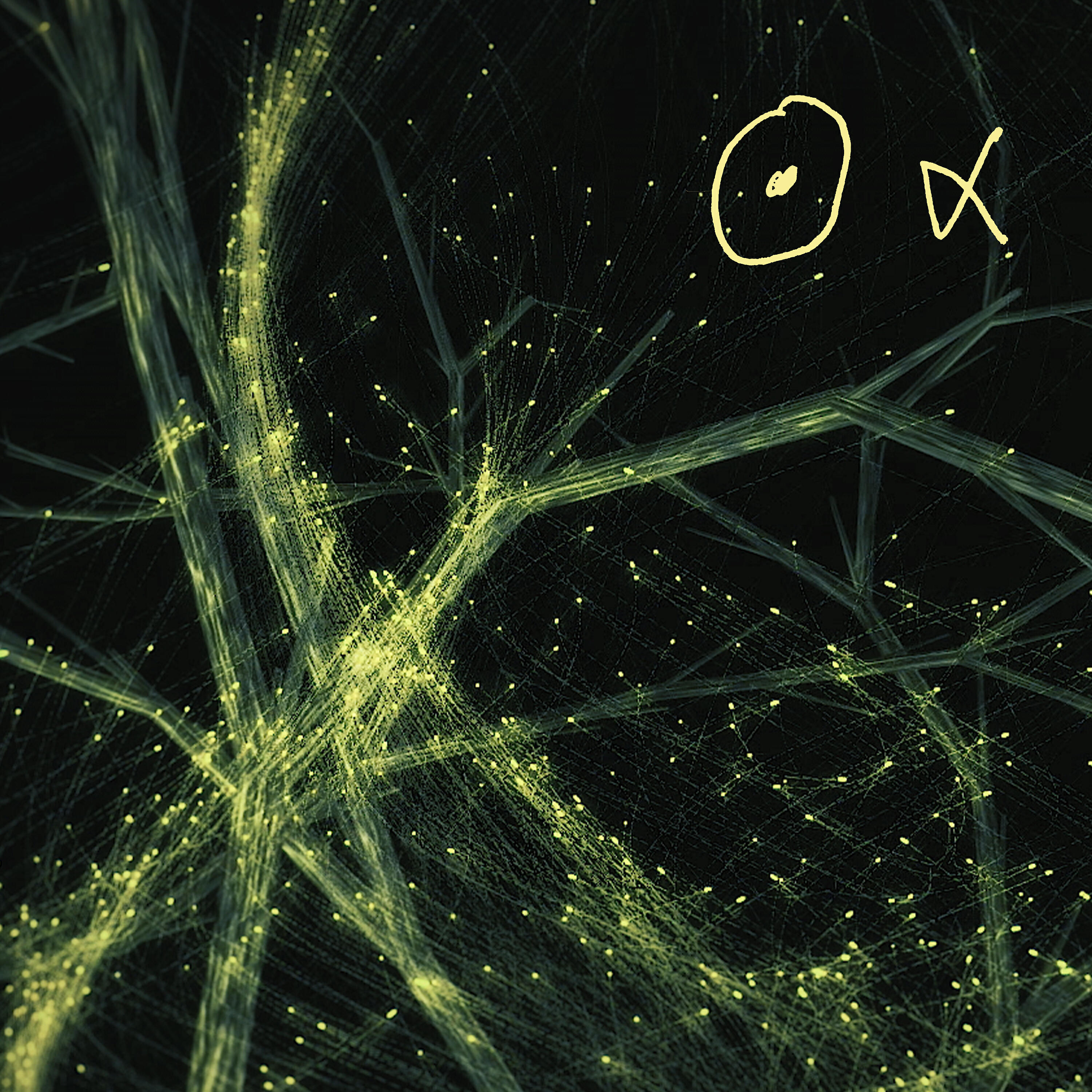 Nous Alpha - Golden Lemon