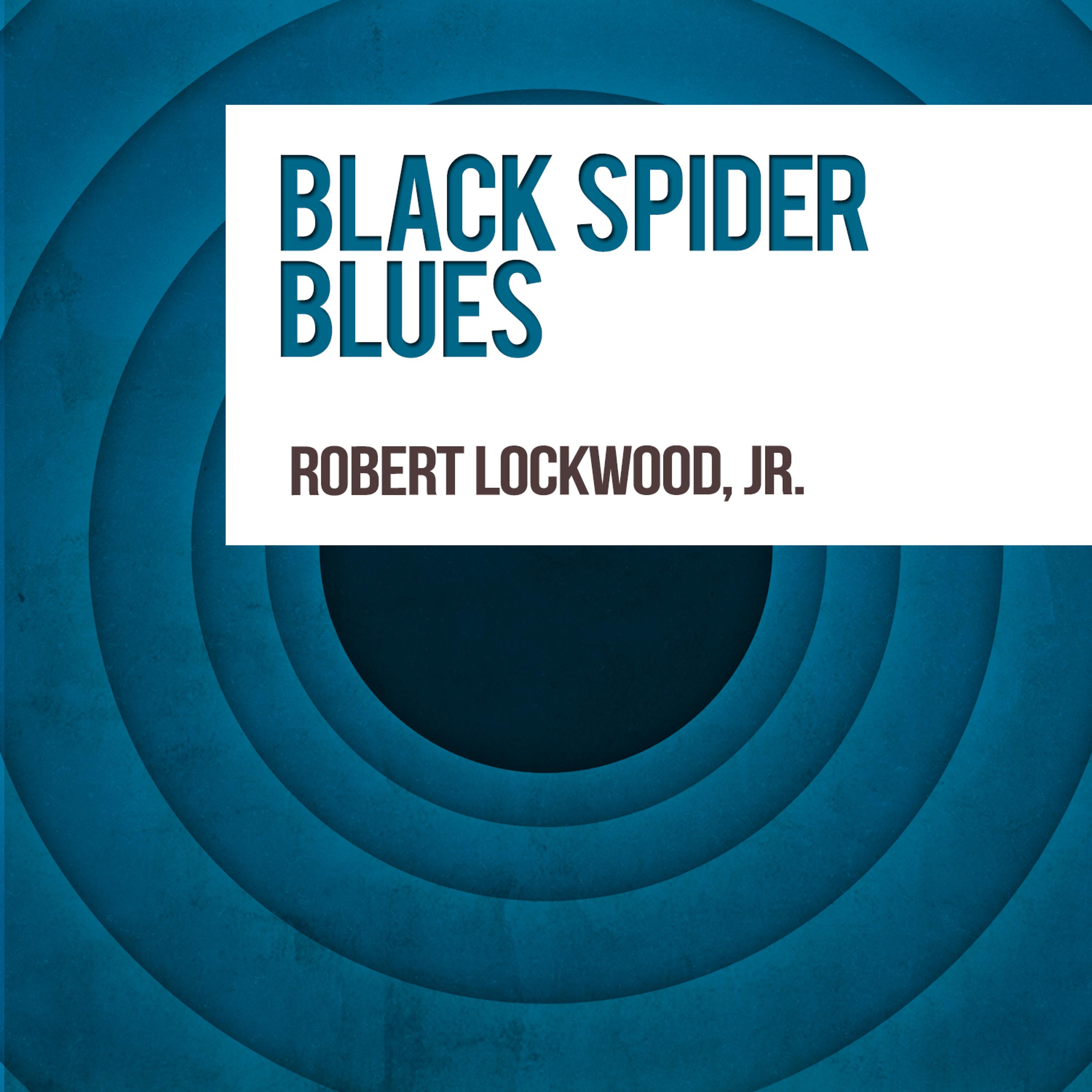 Постер альбома Black Spider Blues