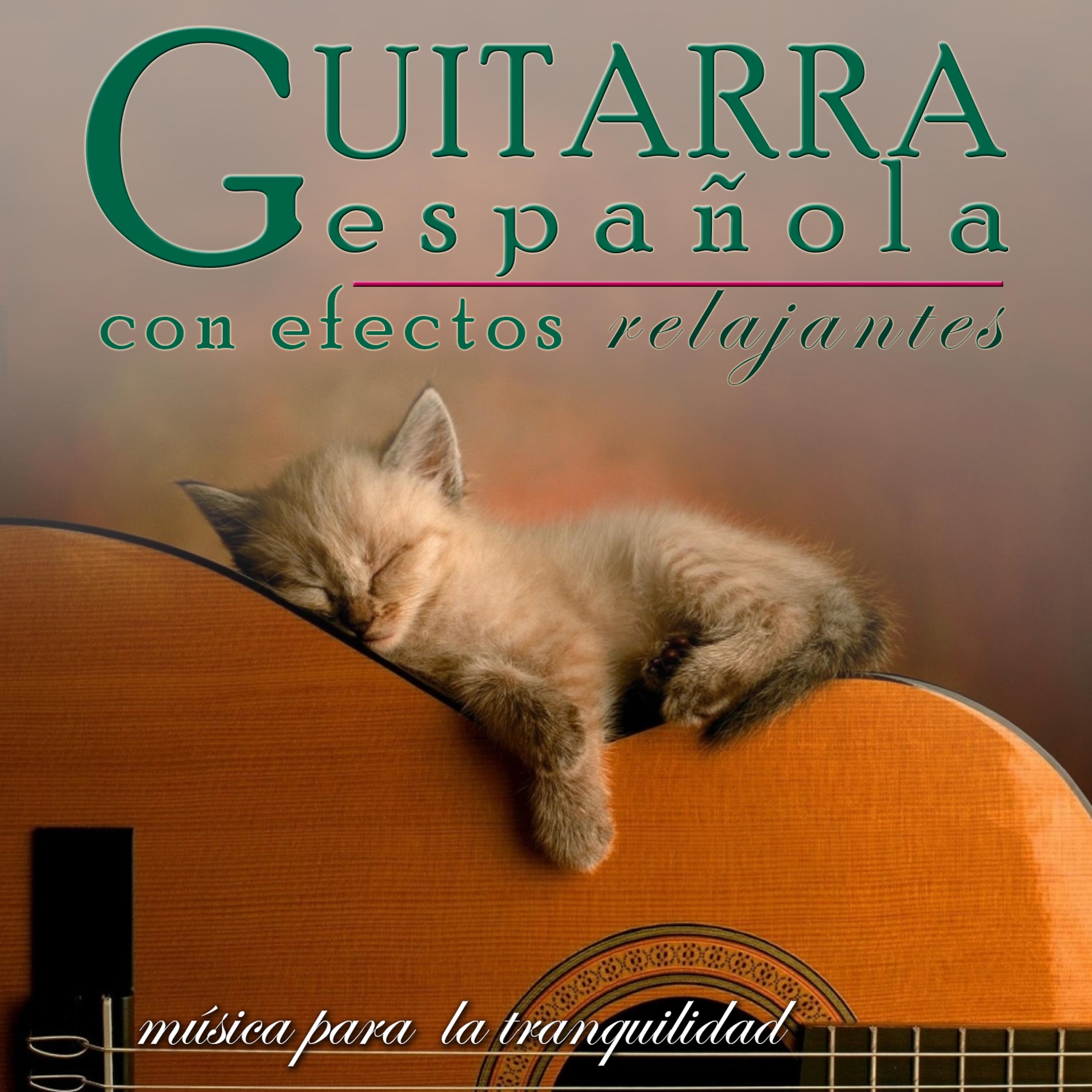 Постер альбома Música para la Tranquilidad. Guitarra Española Con Efectos Relajantes
