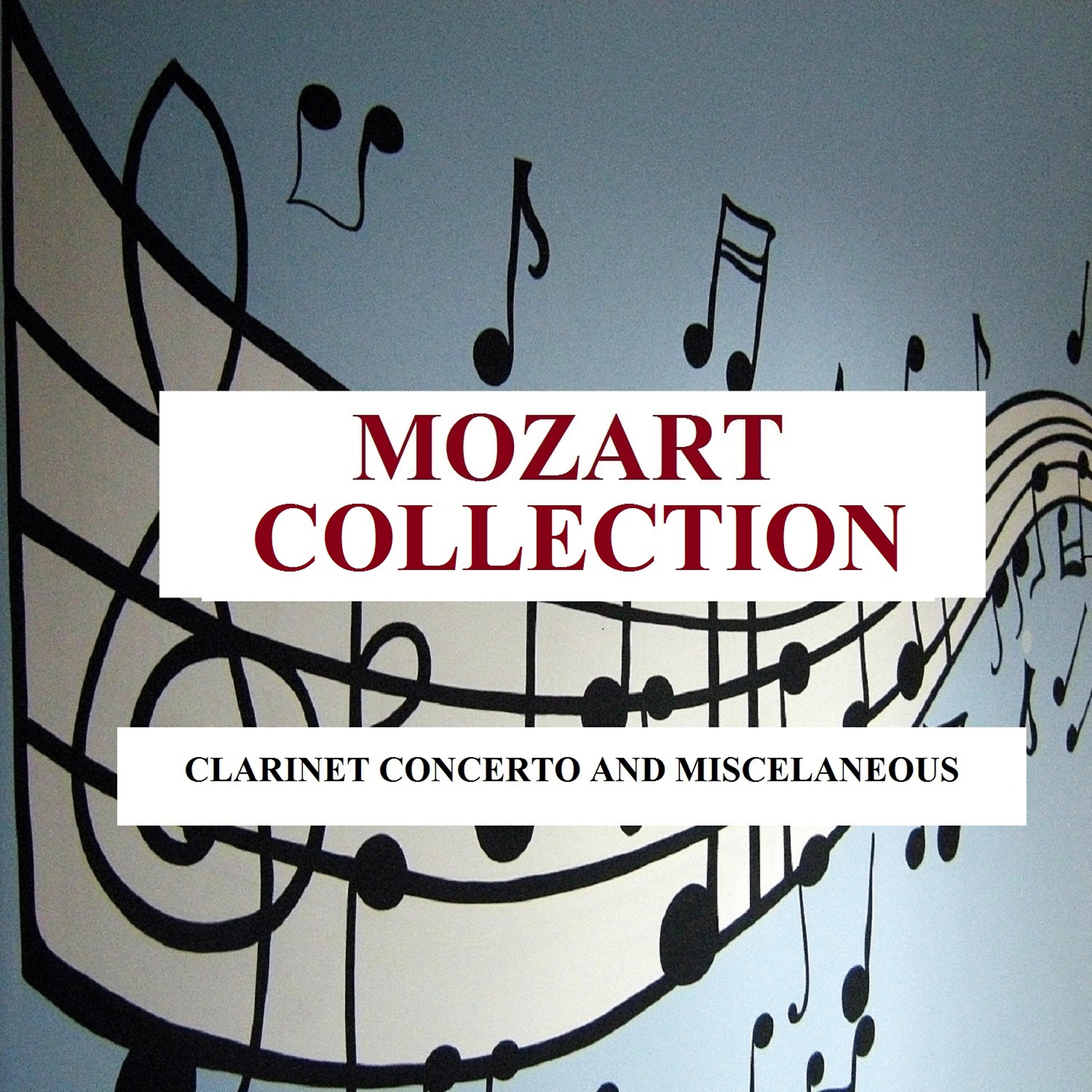 David Shifrin - Clarinet Concerto in A Major, K. 622: II. Adagio