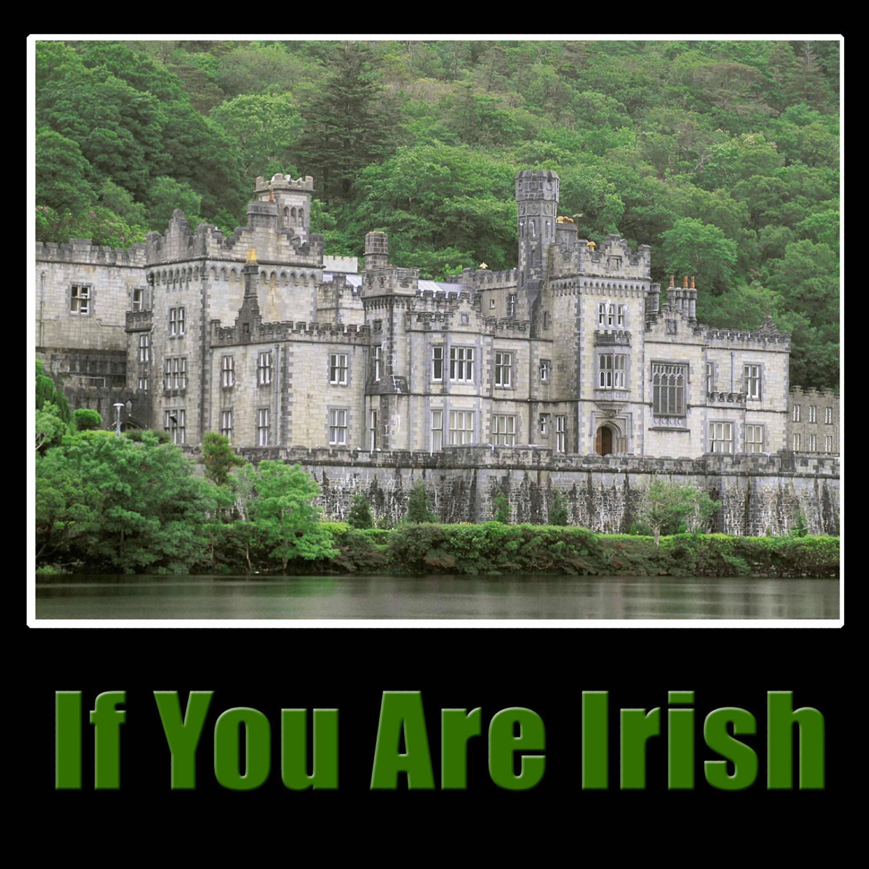 Barnbrack - Medley: Hannigan's Hooley / Bound O'Donoghue / If You're Irish