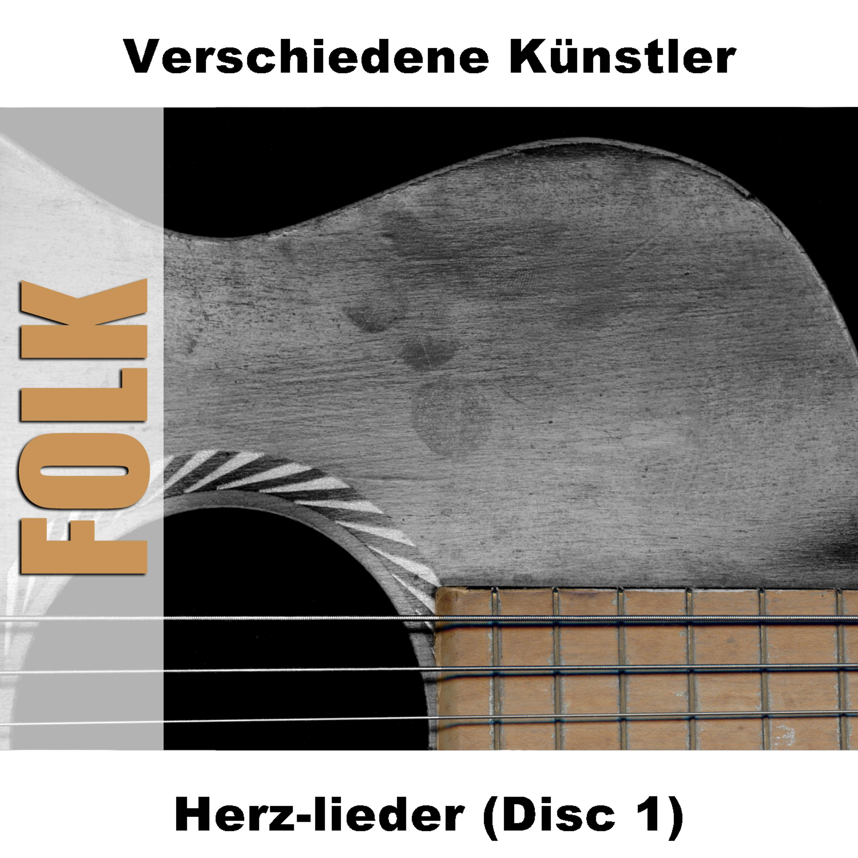 Постер альбома Herz-lieder (Disc 1)