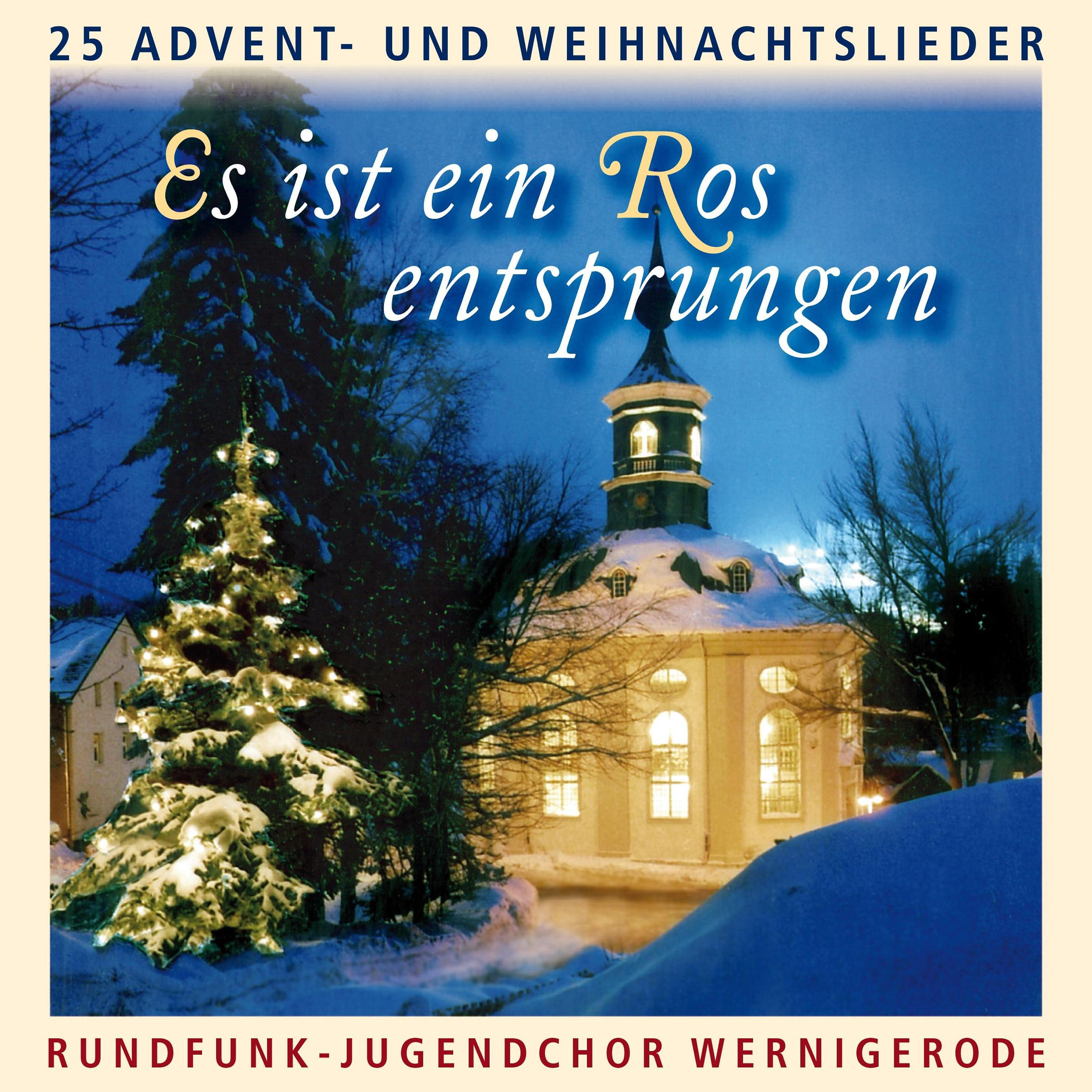 Постер альбома Es ist ein Ros entsprungen - 25 Advent- und Weihnachtslieder