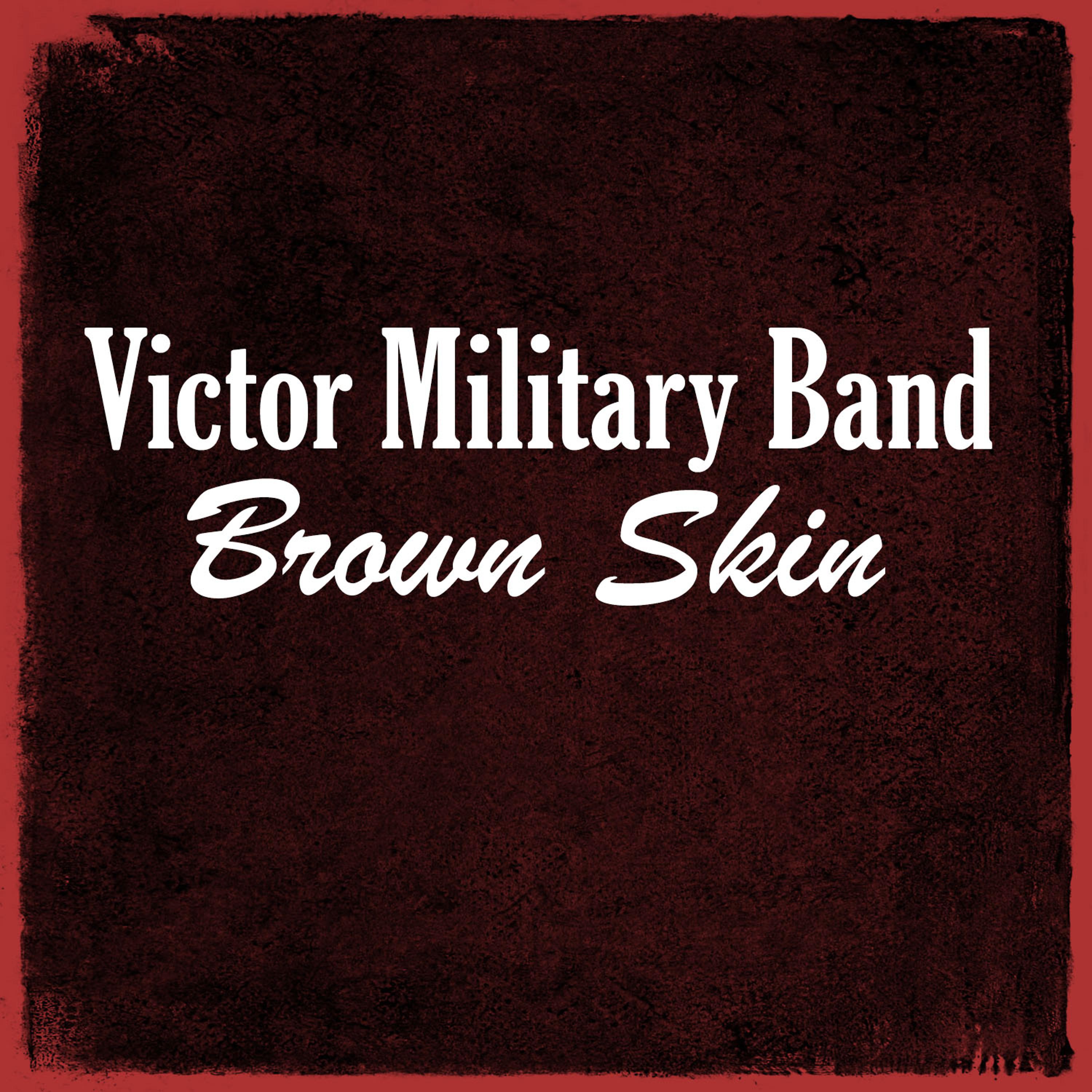 Постер альбома Brown Skin