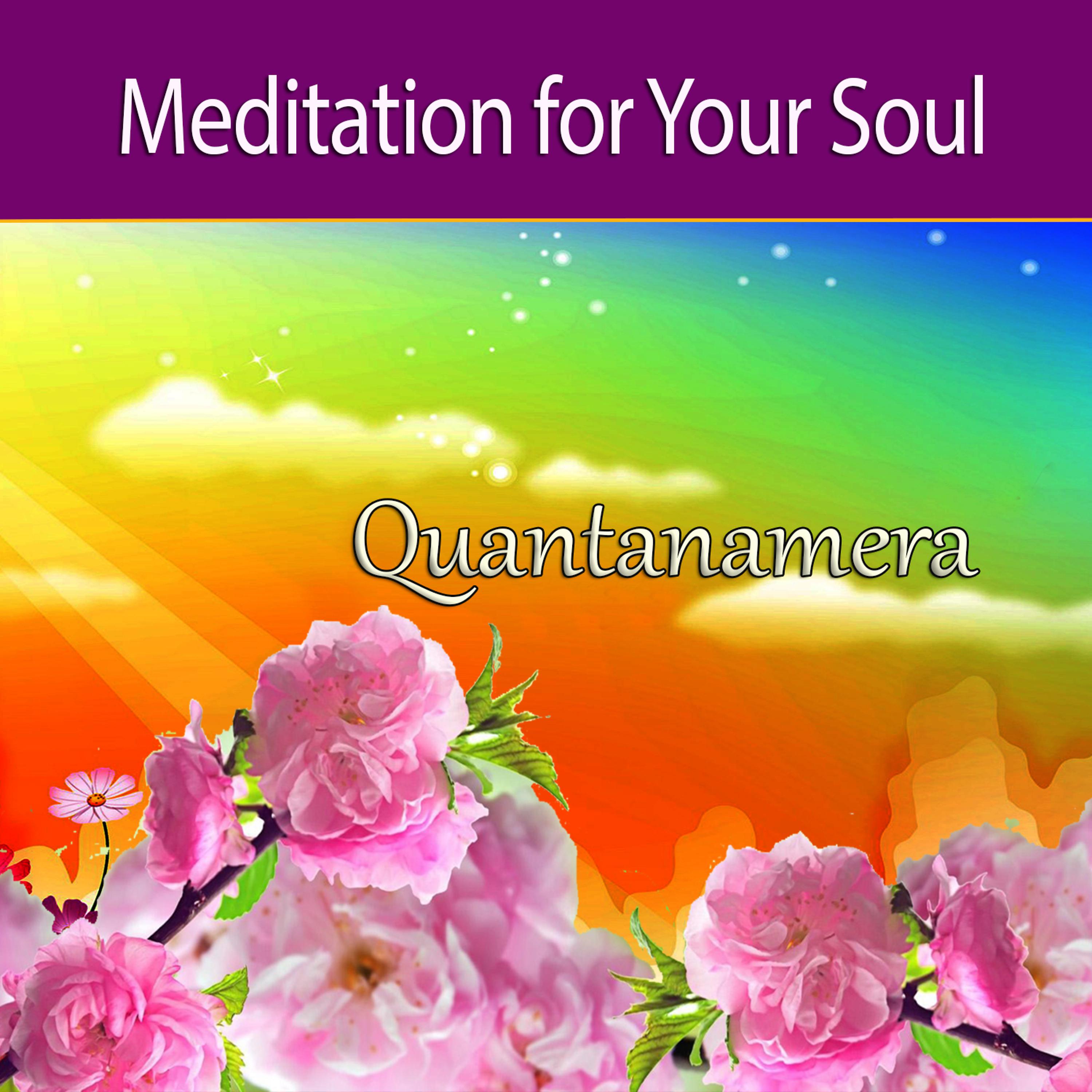 Постер альбома Meditation for Your Soul – Quantanamera