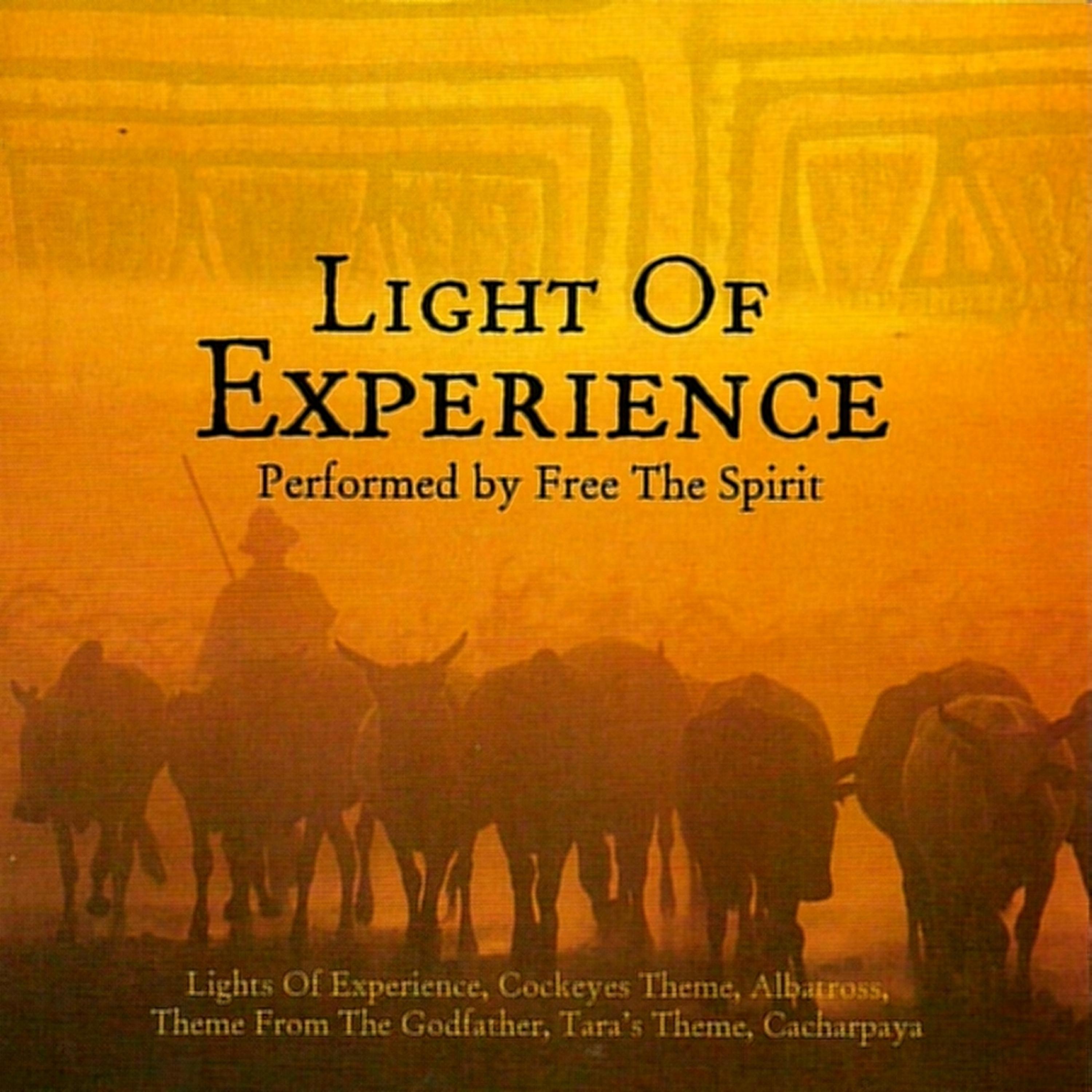 Постер альбома Light of Experience