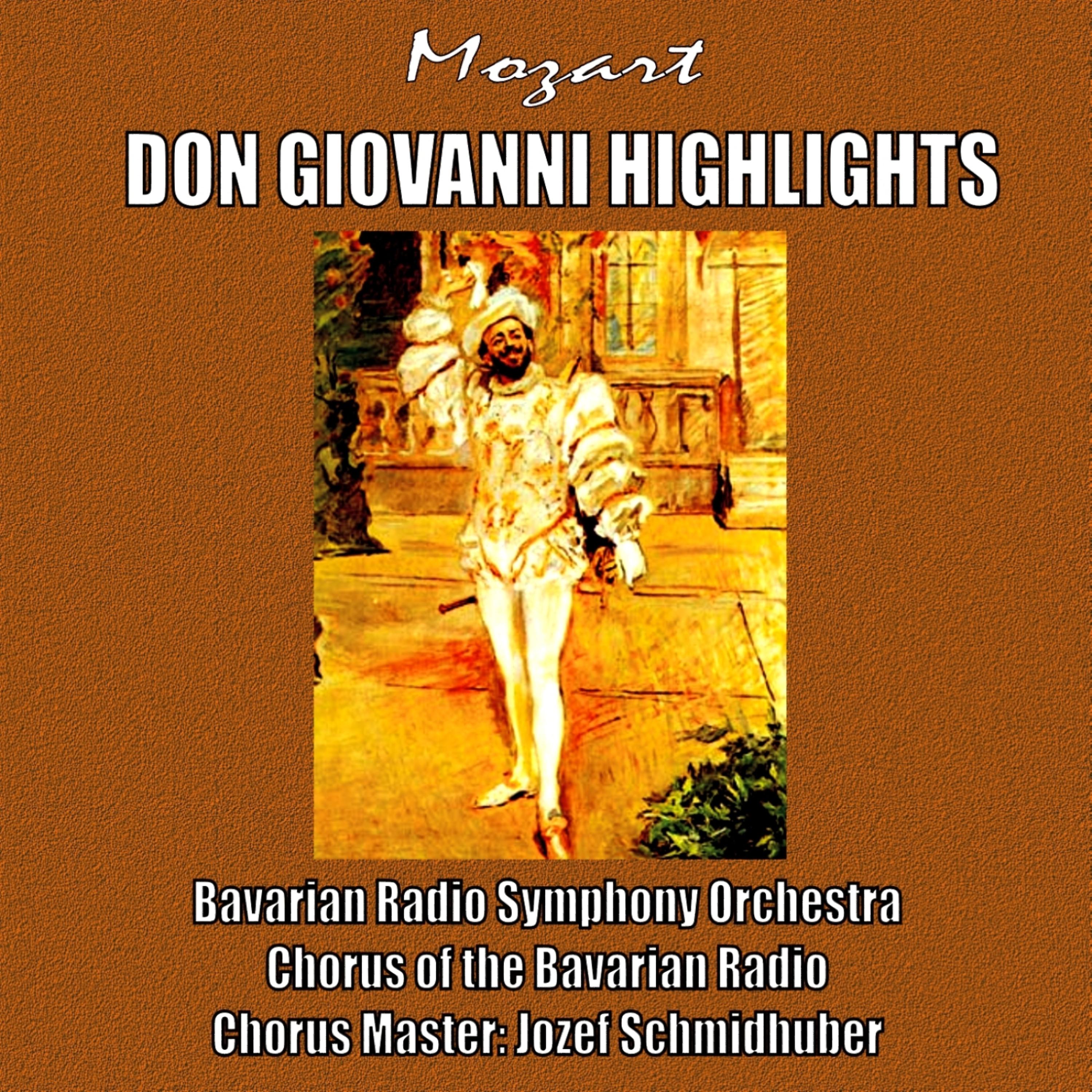 Постер альбома Don Giovanni Highlights