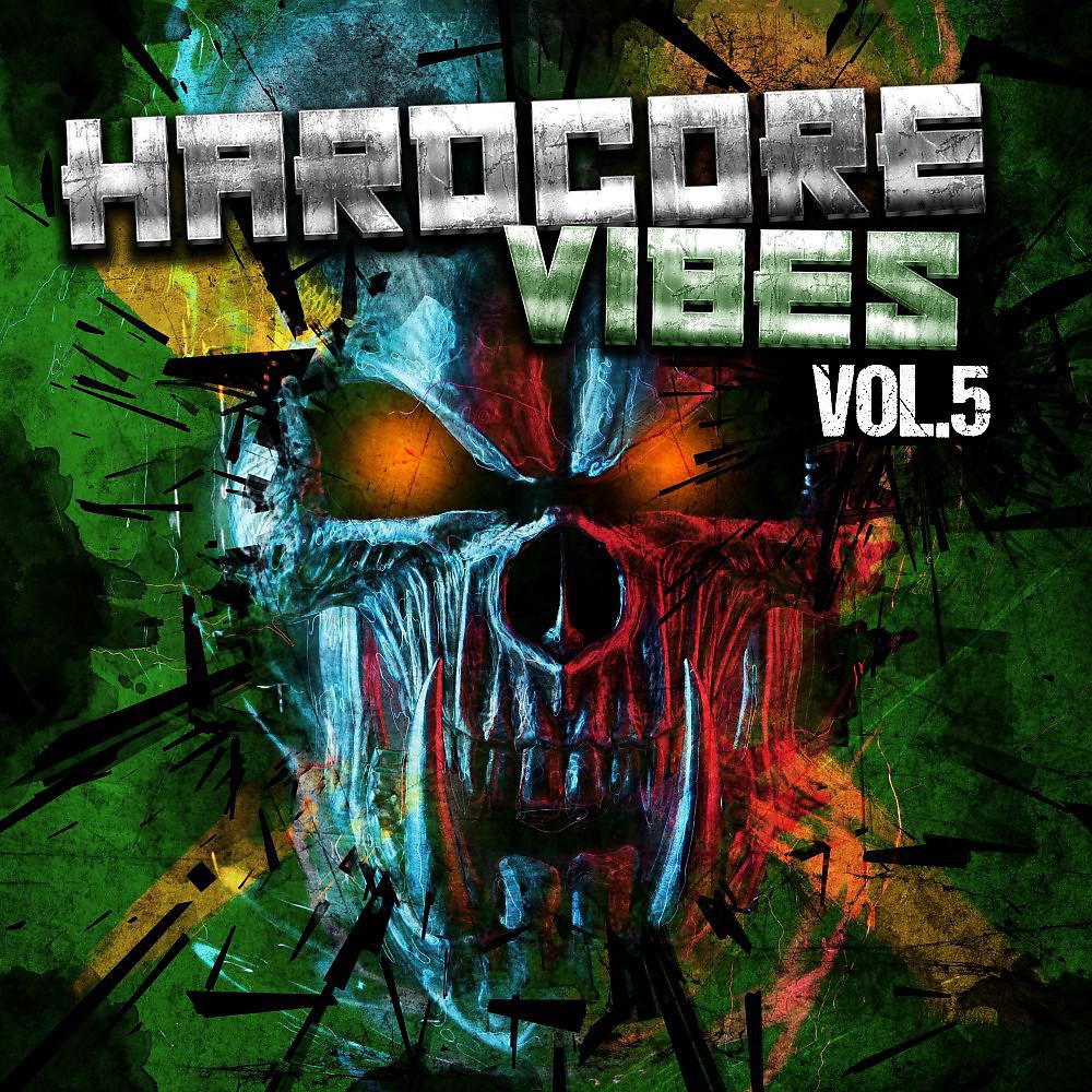 Постер альбома Hardcore Vibes, Vol. 5