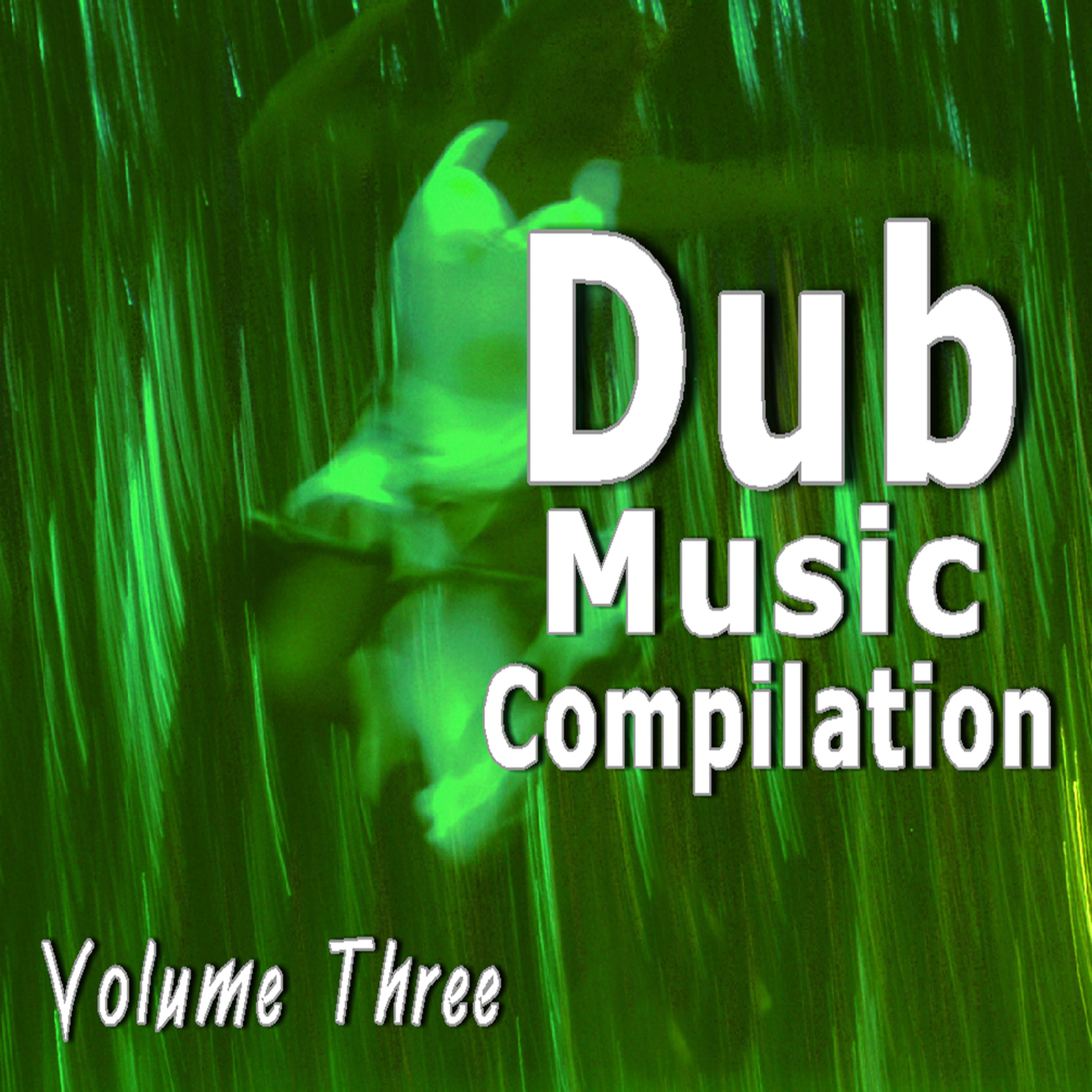 Постер альбома Dub Music Compilation, Vol. 3