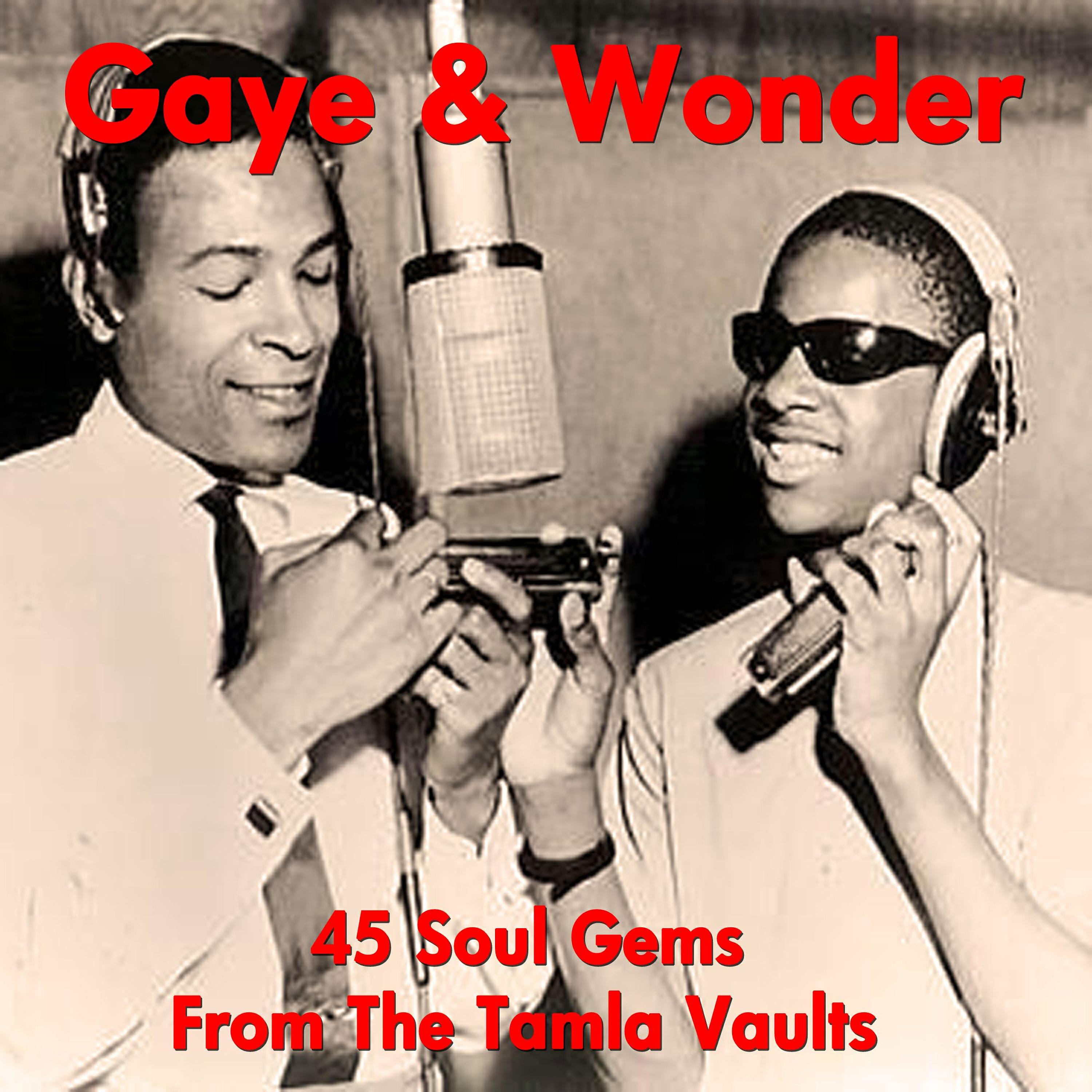 Stevie Wonder - Mary Ann