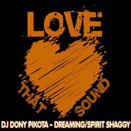 Постер альбома Dreaming / Spirit Shaggy