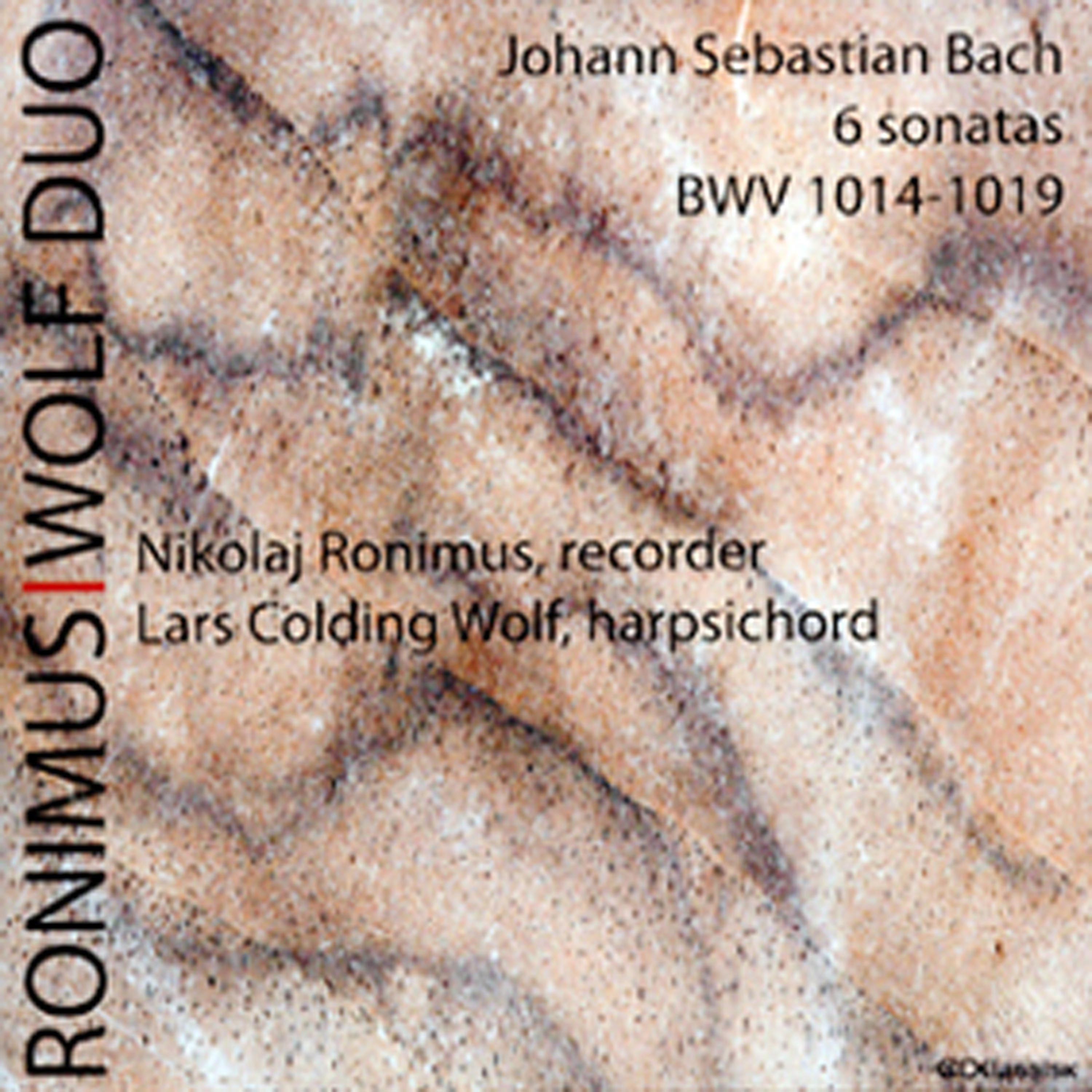 Nikolaj Ronimus - Sonata VI In G, BWV 1019 - Allegro II