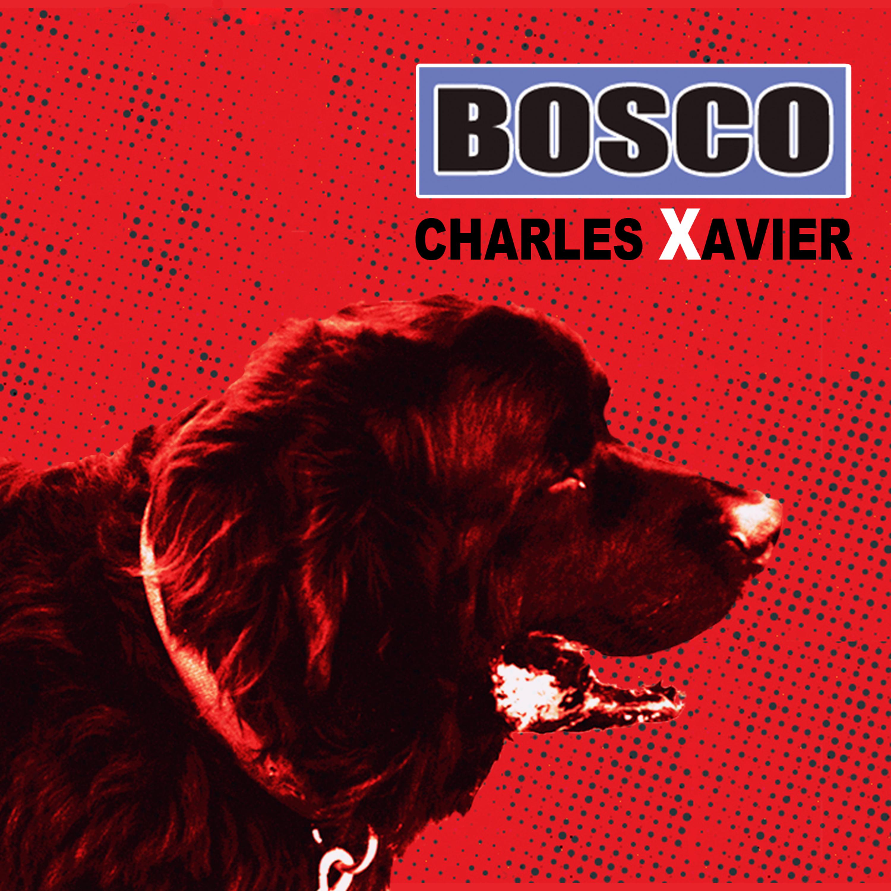Постер альбома Bosco
