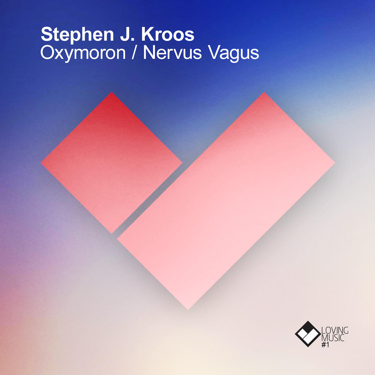 Stephen J. Kroos - Nervus Vagus