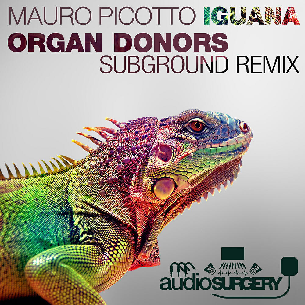 Mauro Picotto - Iguana (Organ Donors Subground Rework)