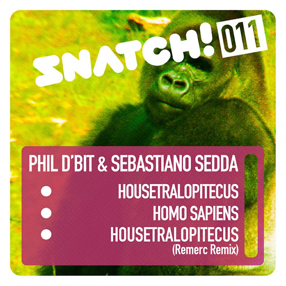 Sebastiano Sedda - Housetralopitecus (Remerc Remix)