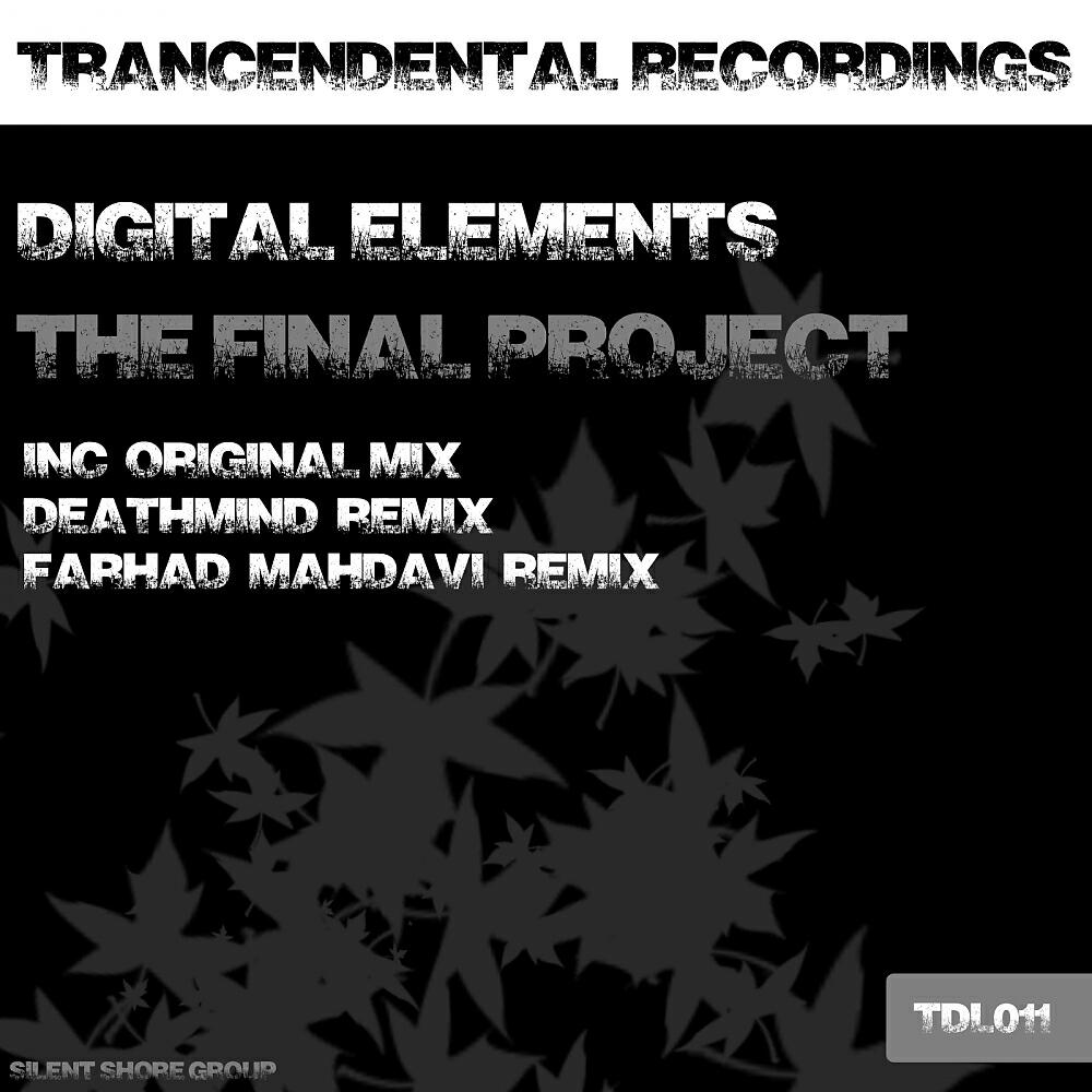 Digital Elements - The Final Project (Original Mix)