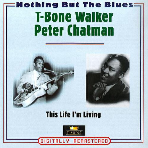 Peter Chatman - Blues At Midnight