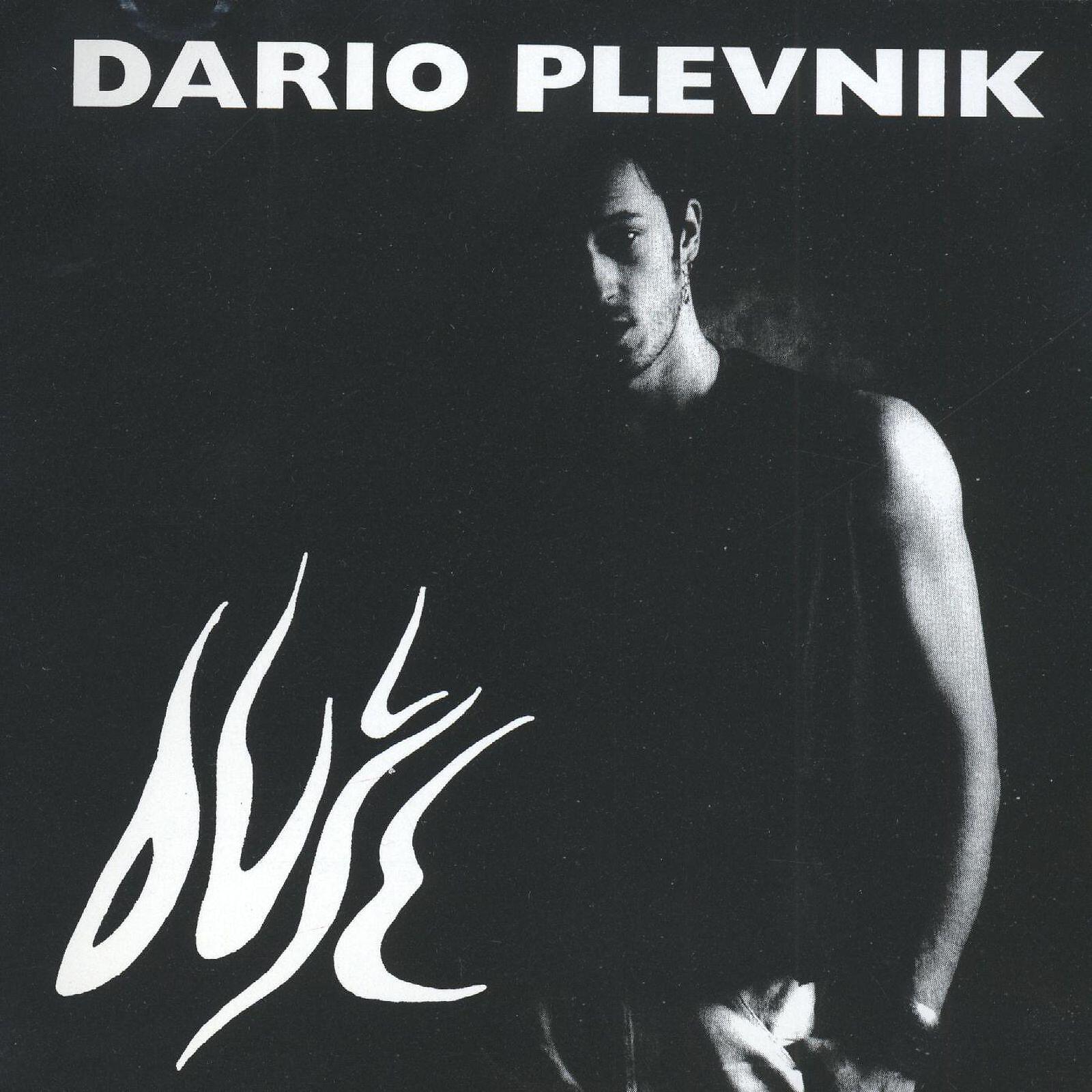 Dario Plevnik - Noć I Dan