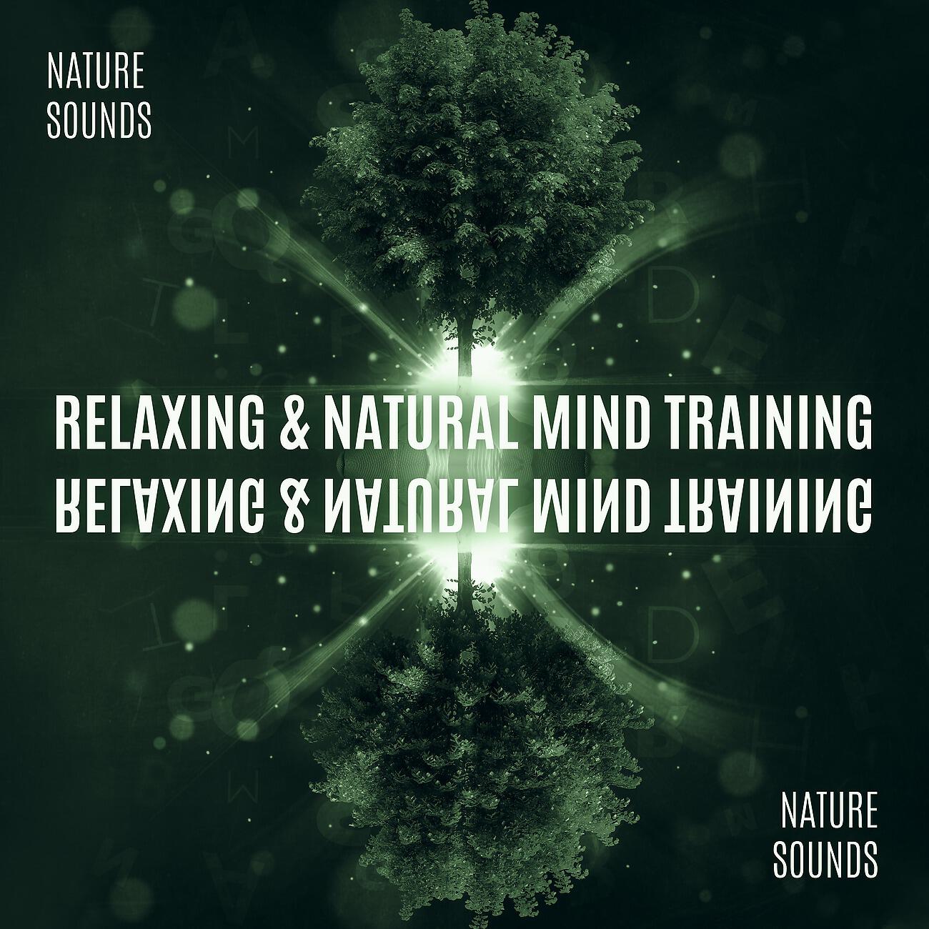 Sounds of Nature Kingdom - Forest of Acute Perception