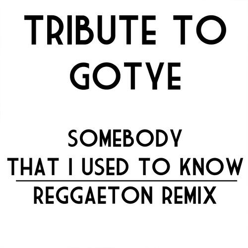 Latin Band - Somebody That I Used to Know (Remix Miami Reggaeton Version 2012)