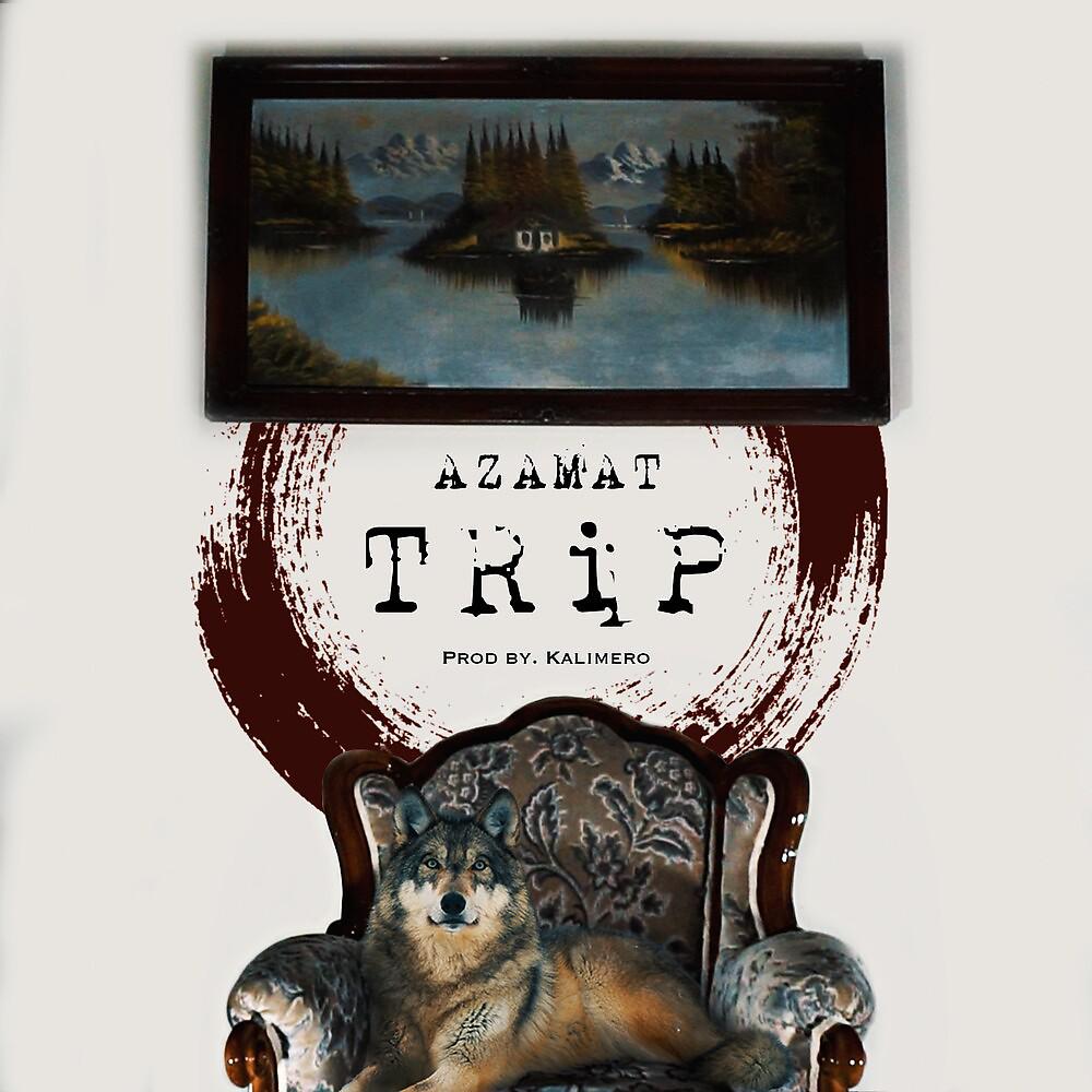 Постер альбома Trip