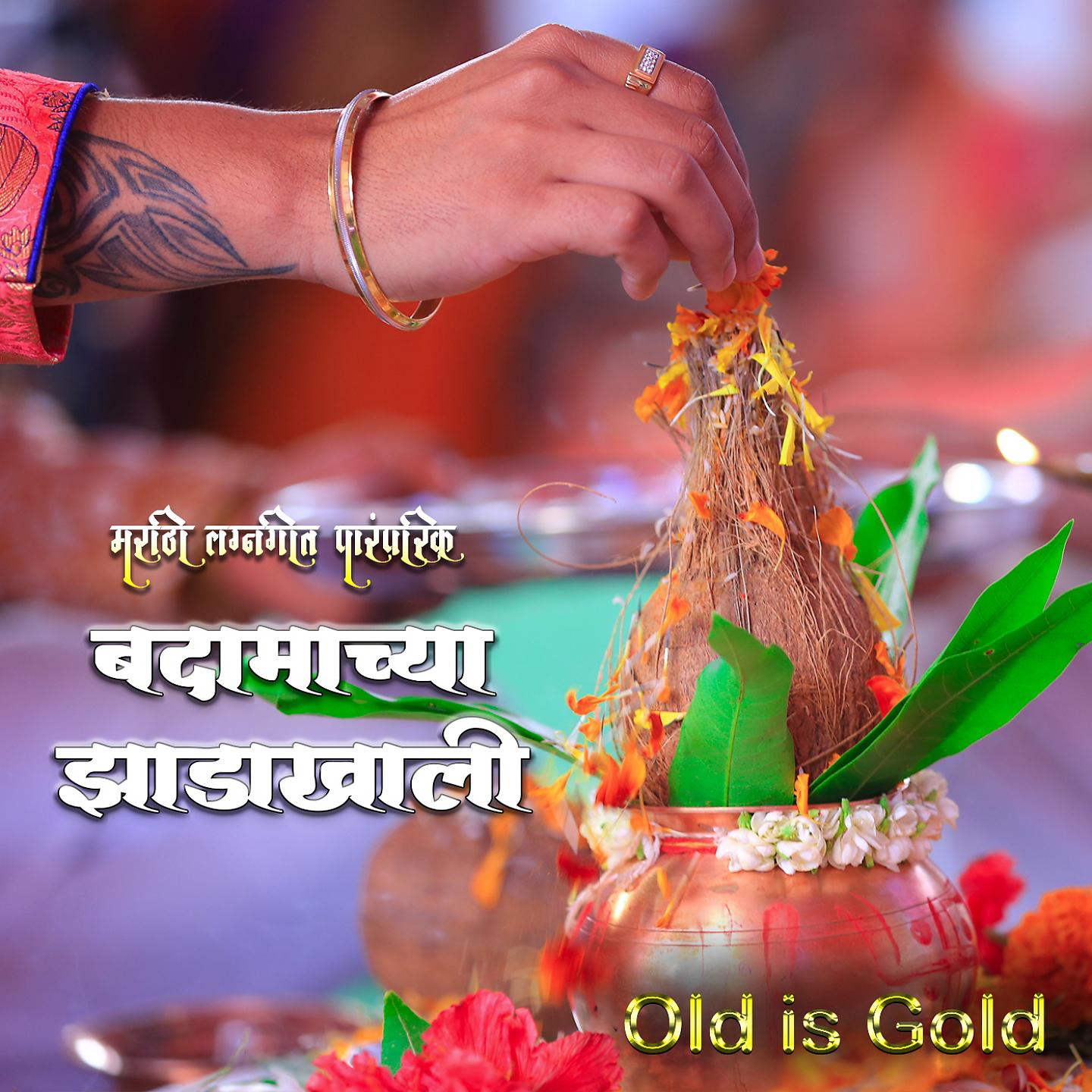 Постер альбома Badamcha Jhadakhali