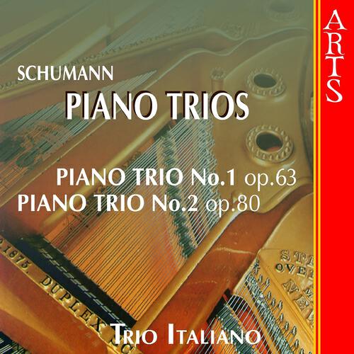 Trio Italiano - Piano Trio No. 1 in D Minor, Op. 63: I. Mit Energie und Leidenschaft