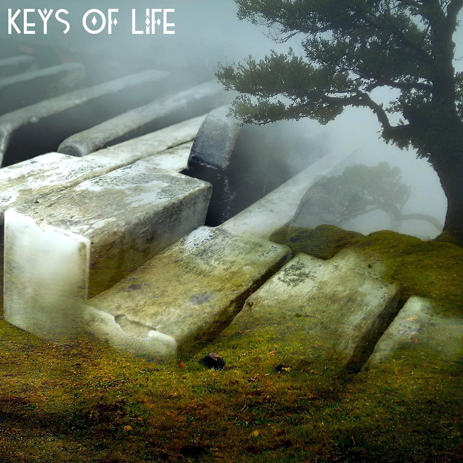 Постер альбома Keys of Life