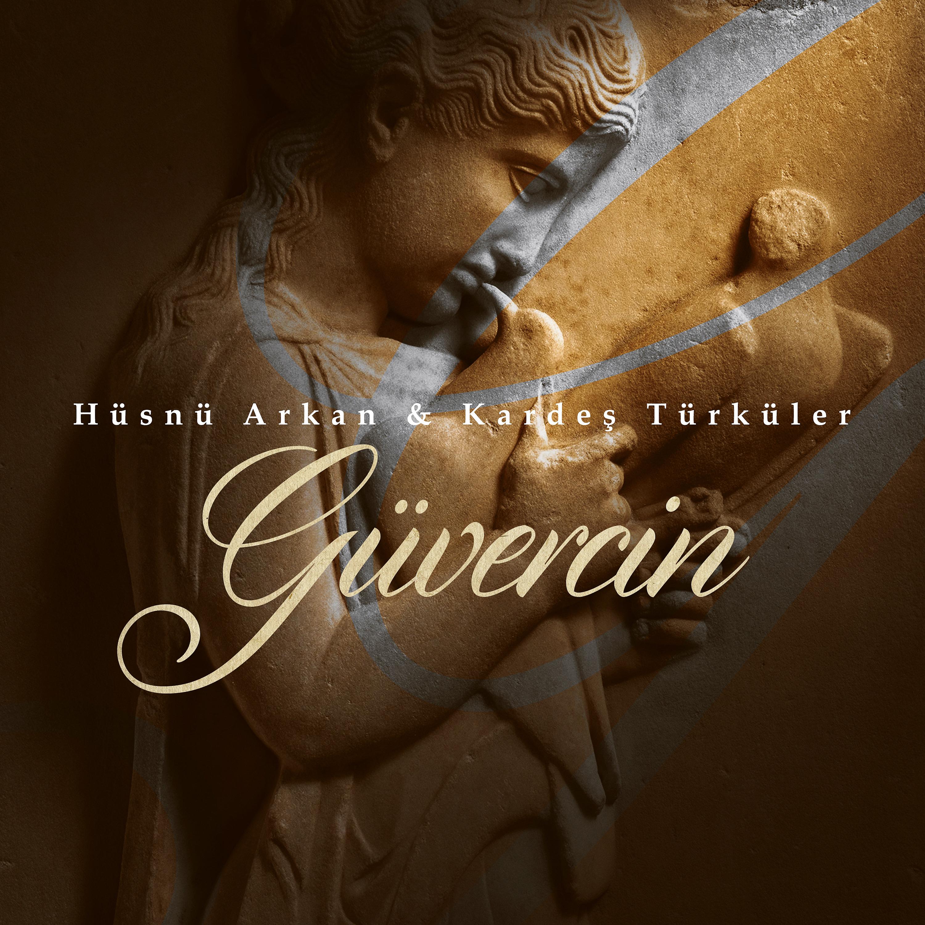 Постер альбома Güvercin
