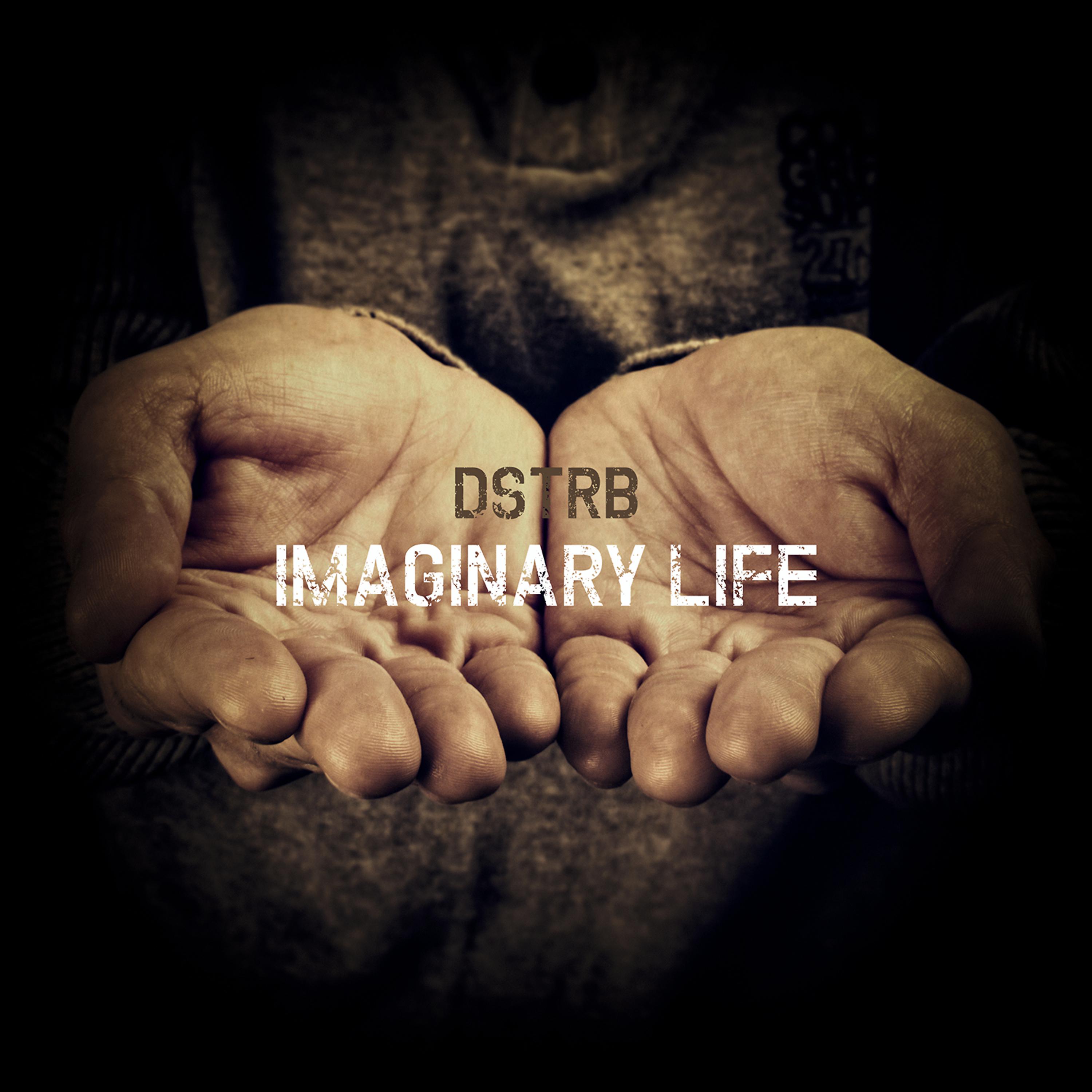 Постер альбома Imaginary Life