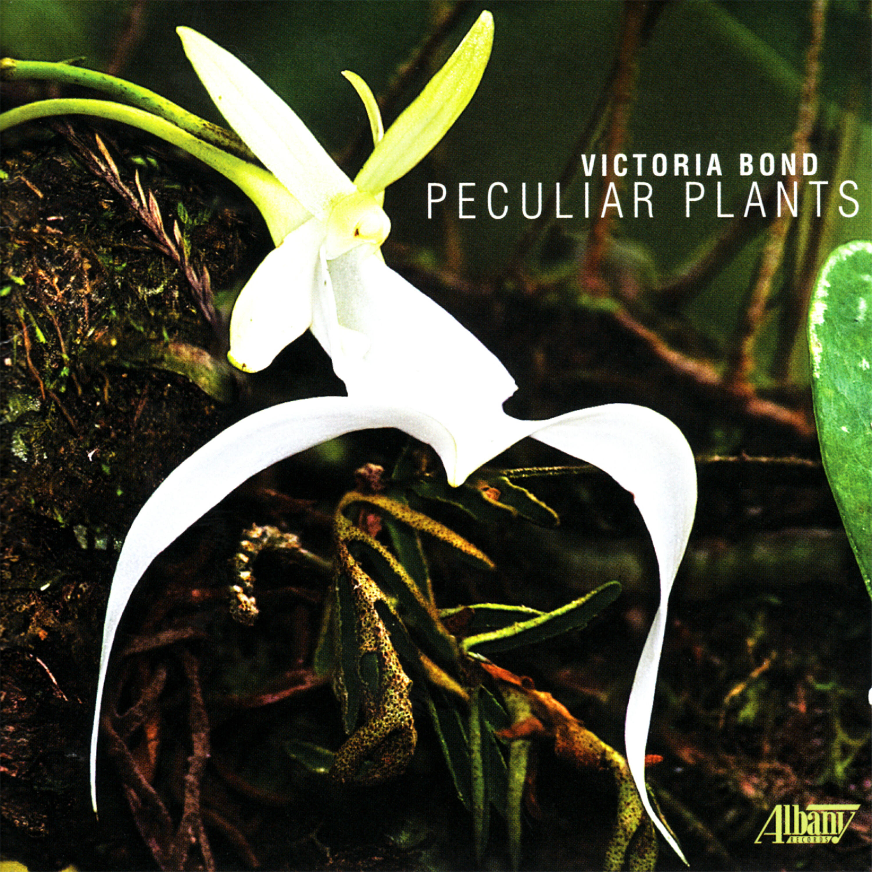 Renee Jolles - Peculiar Plants: Creeping Moss