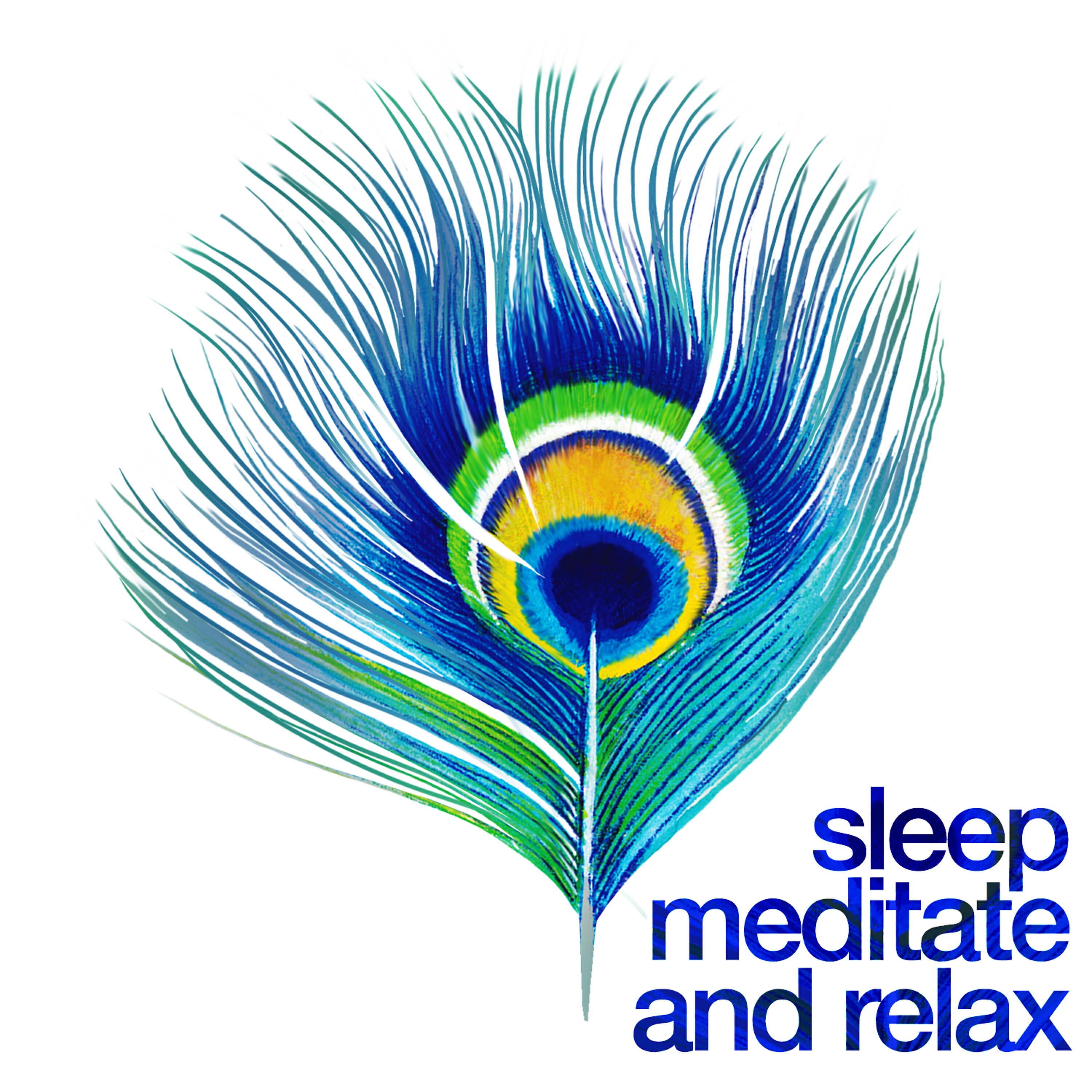 Sleep Meditate Relax - Conch Shell
