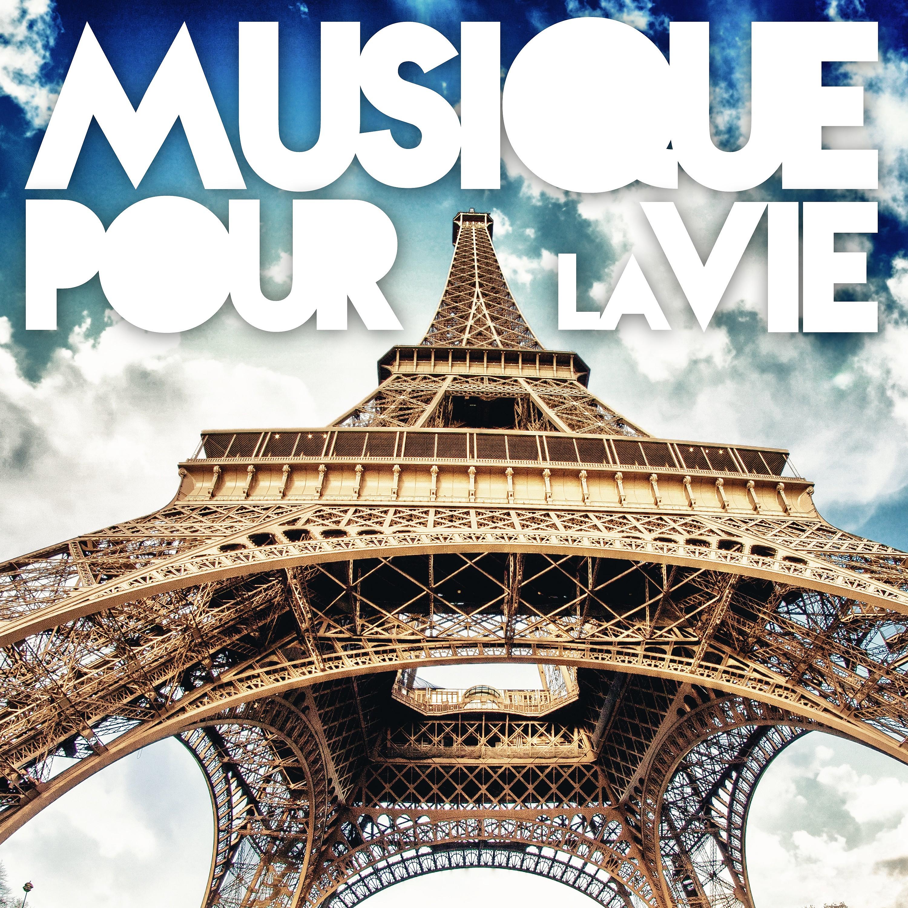 Постер альбома Musique pour la vie