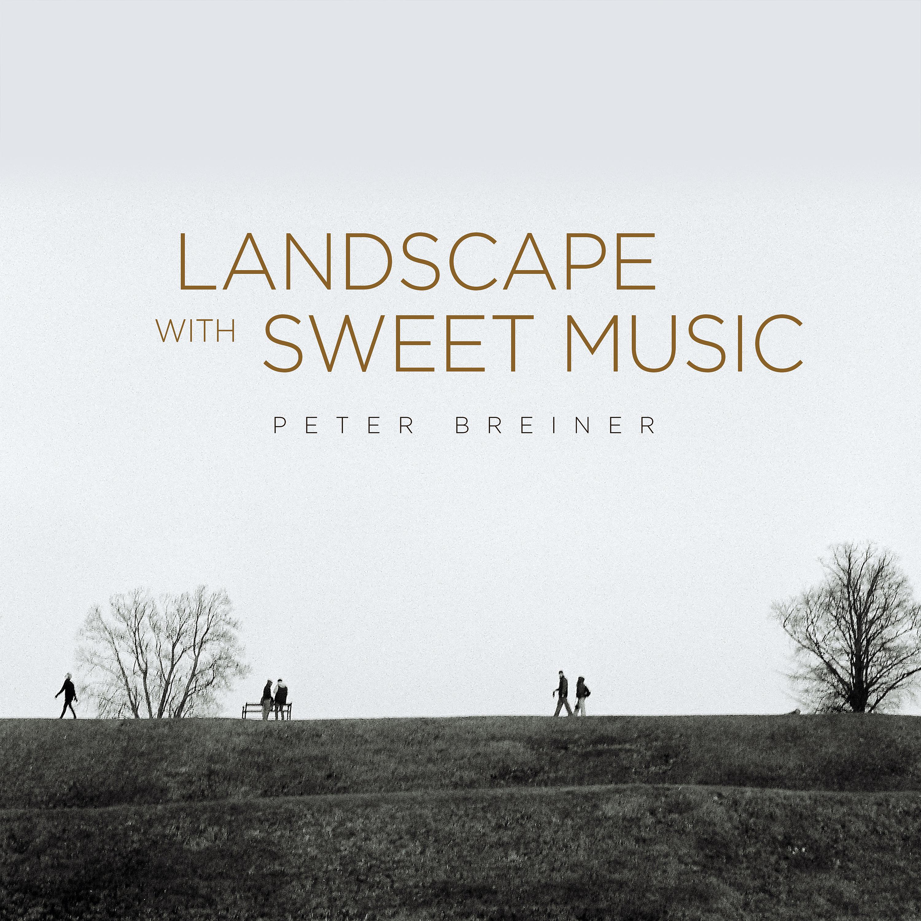 Постер альбома Landscape with Sweet Music