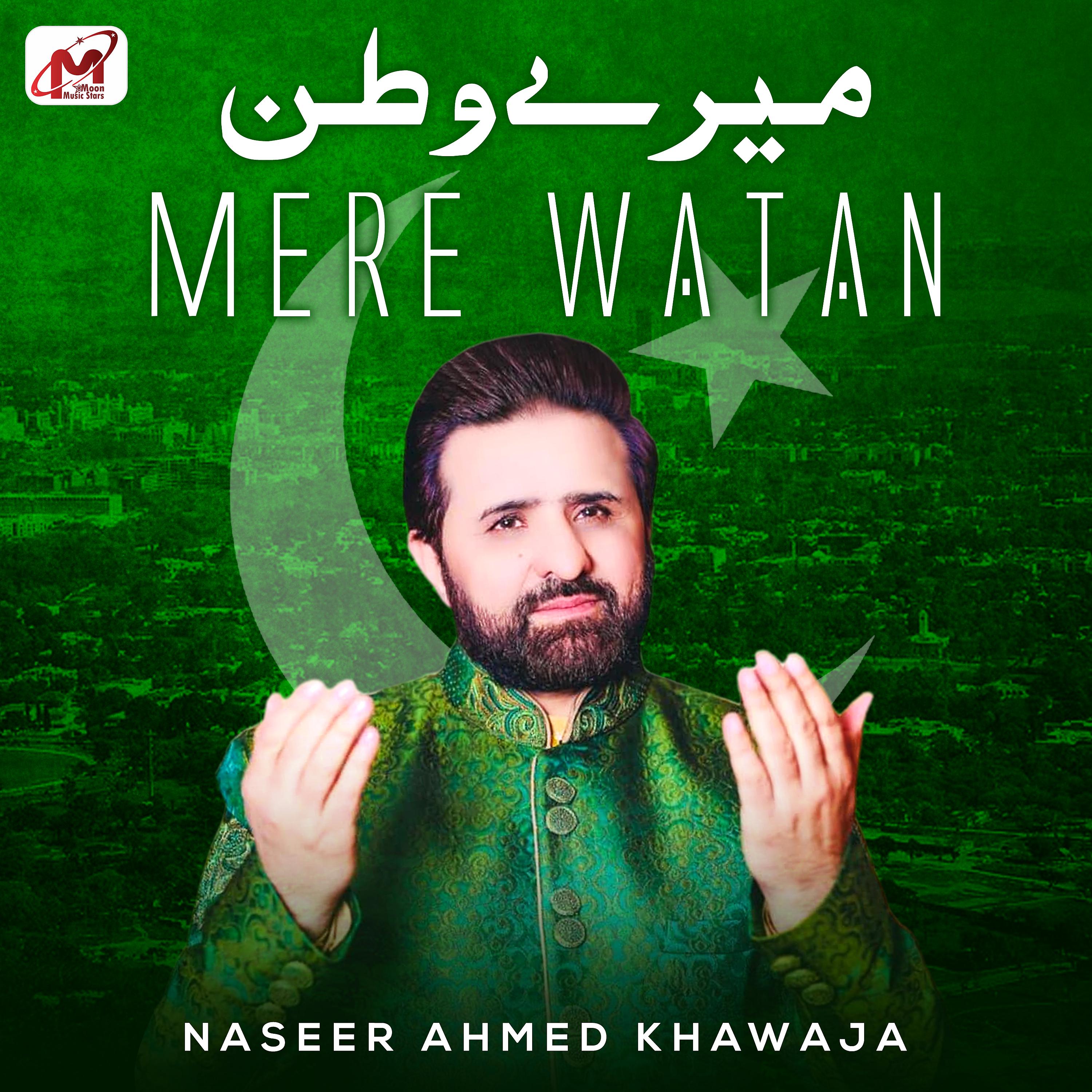 Постер альбома Mere Watan - Single
