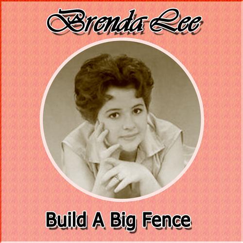 Постер альбома Build a Big Fence