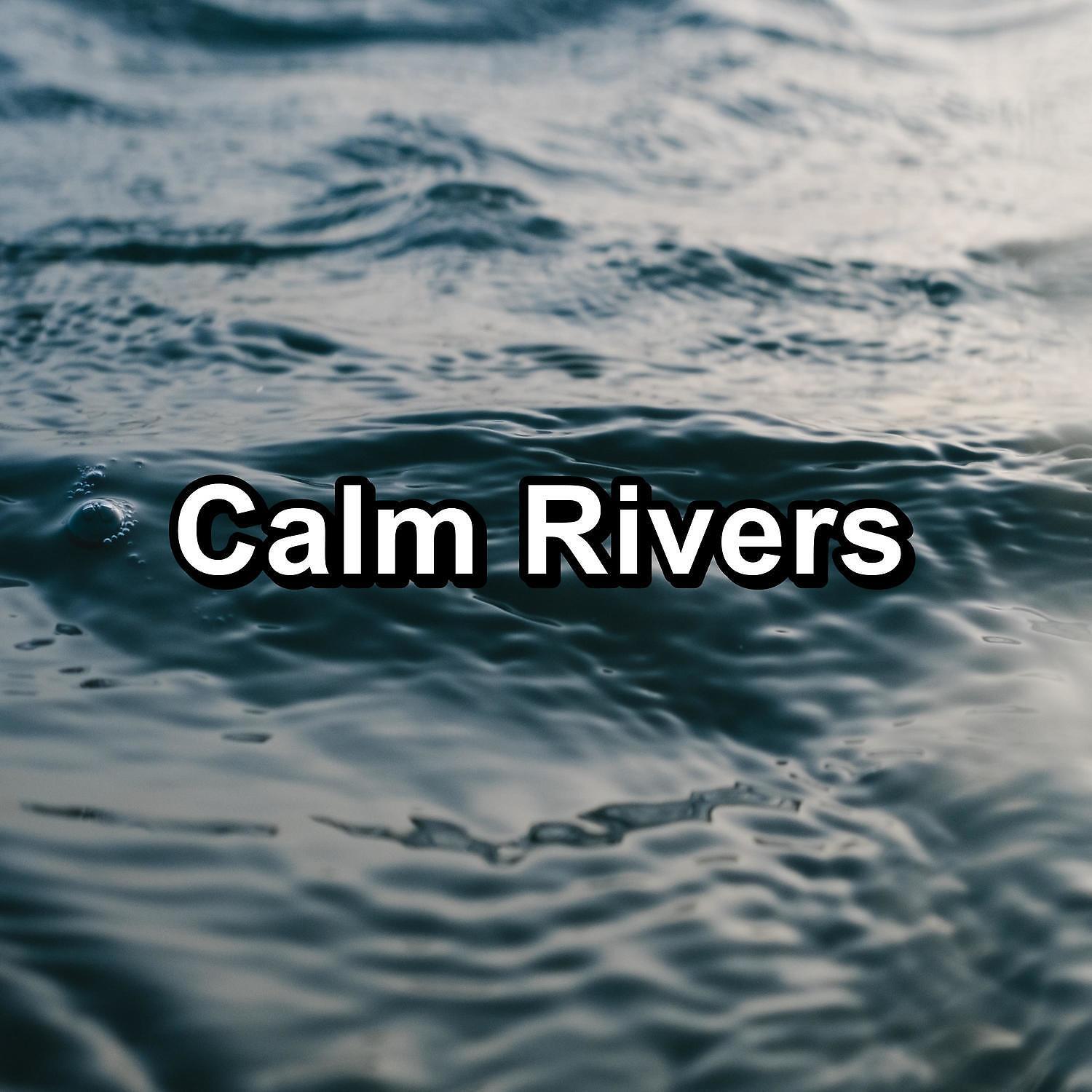 Ocean - Soothing Wave Sounds With Nature Sounds Loopable for 8 Hours