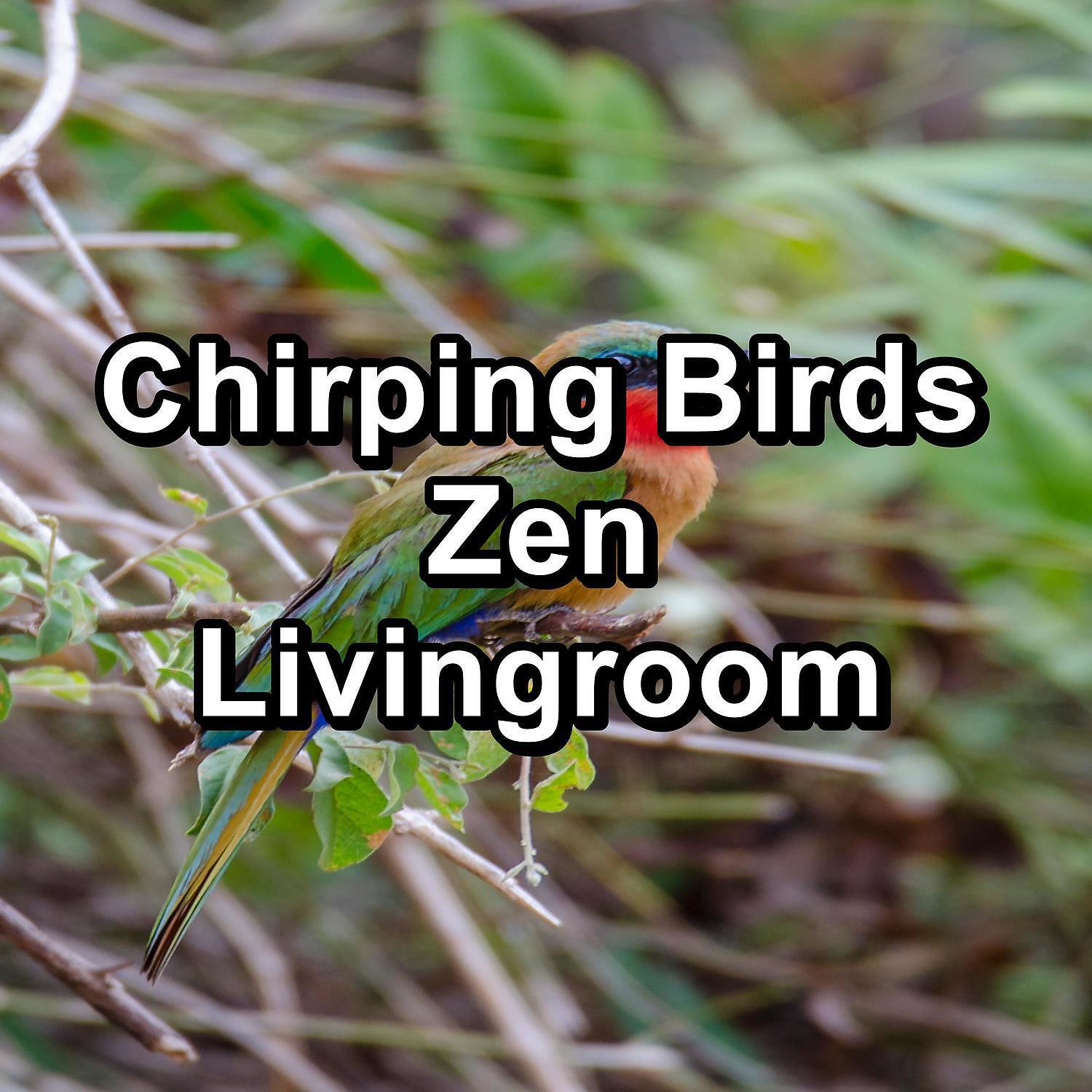 Sleep - ASMR Bird Sounds For Deep Sleep Loop your Whole Sleep