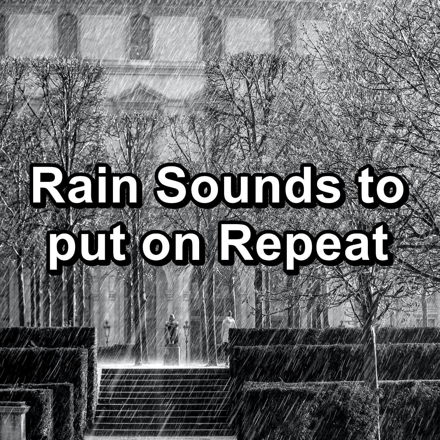 Nature Soundscape - Gutter Rain For Peace To Help You Sleep