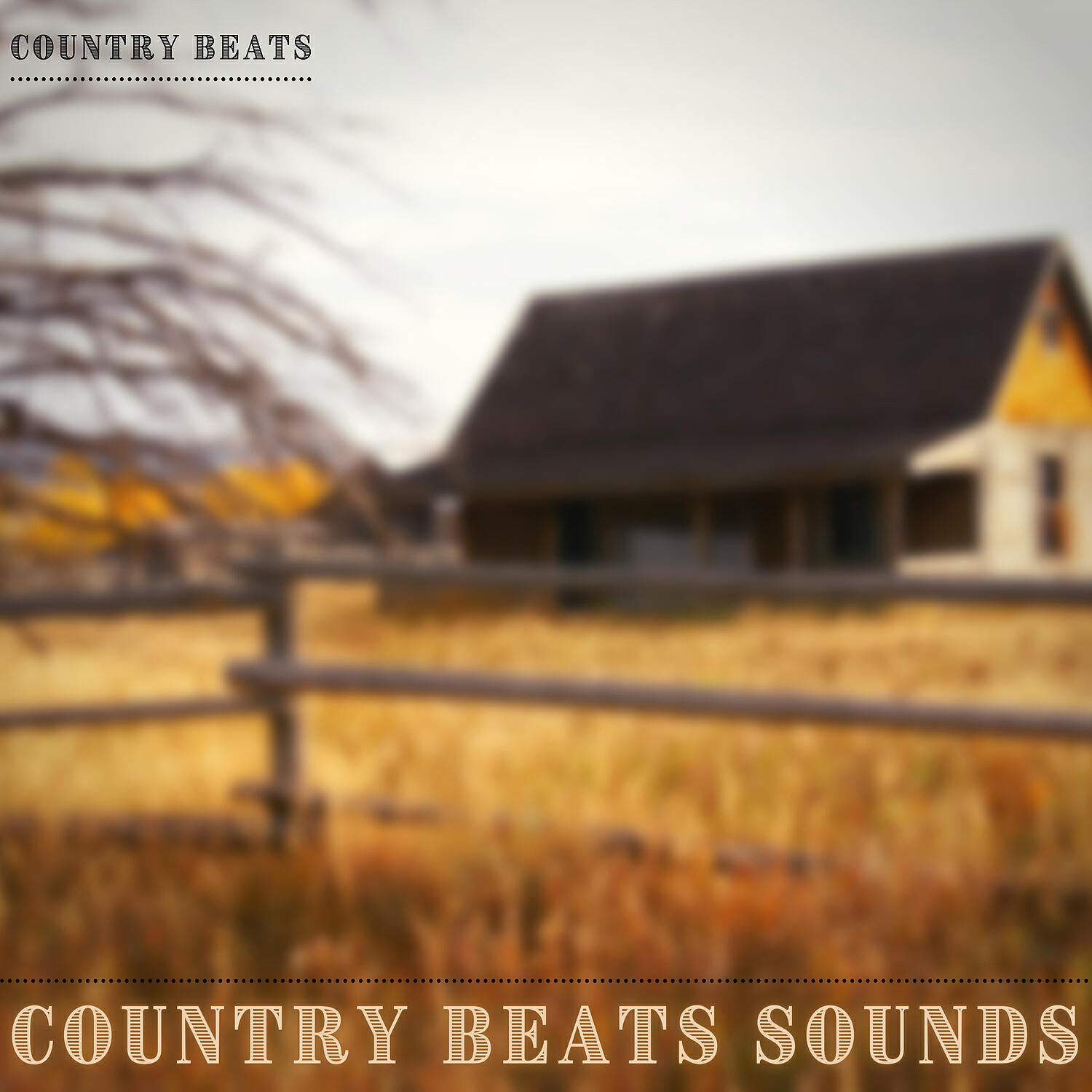 Country Beats - Country Beats Sounds