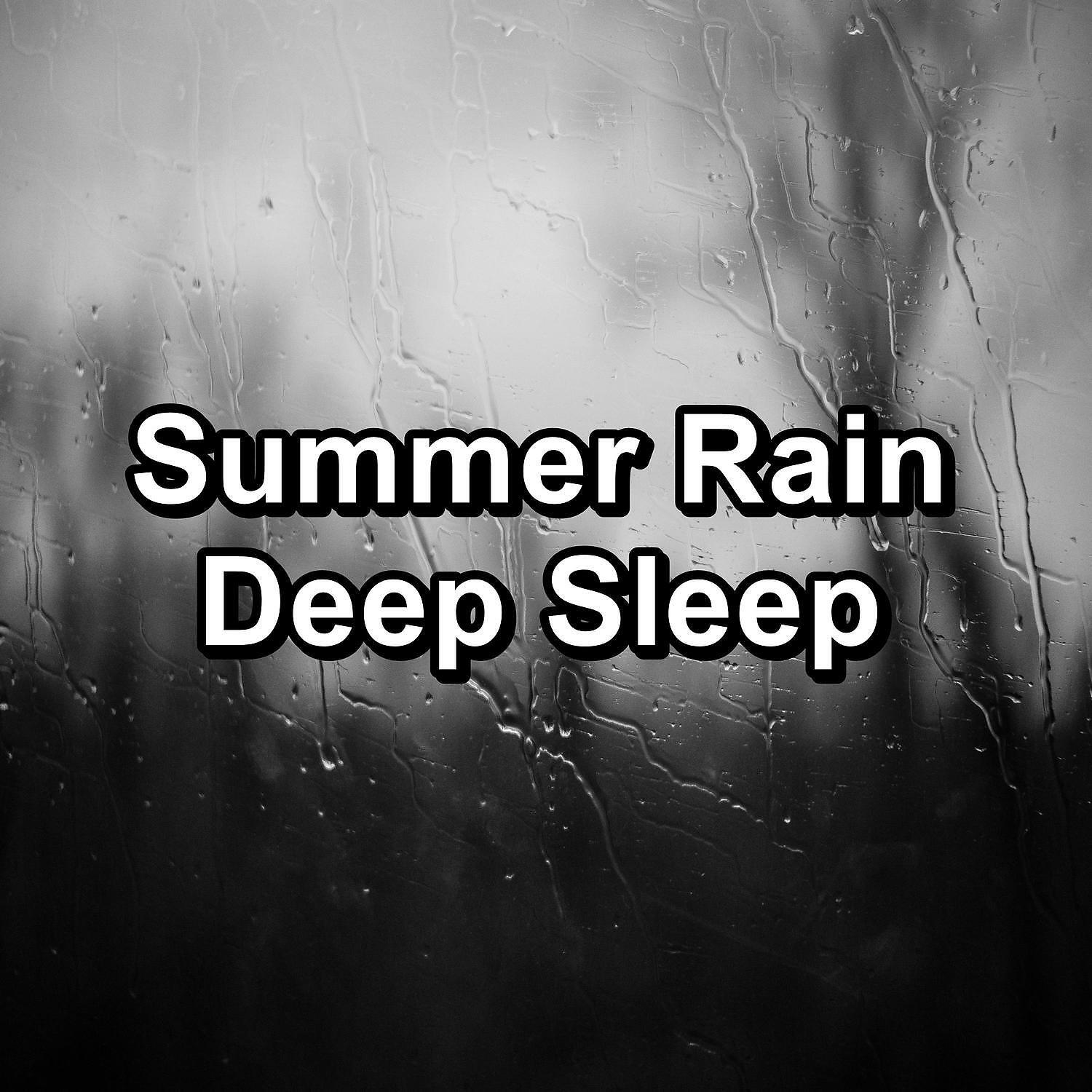 Calming Sounds - A Soaked Sedge