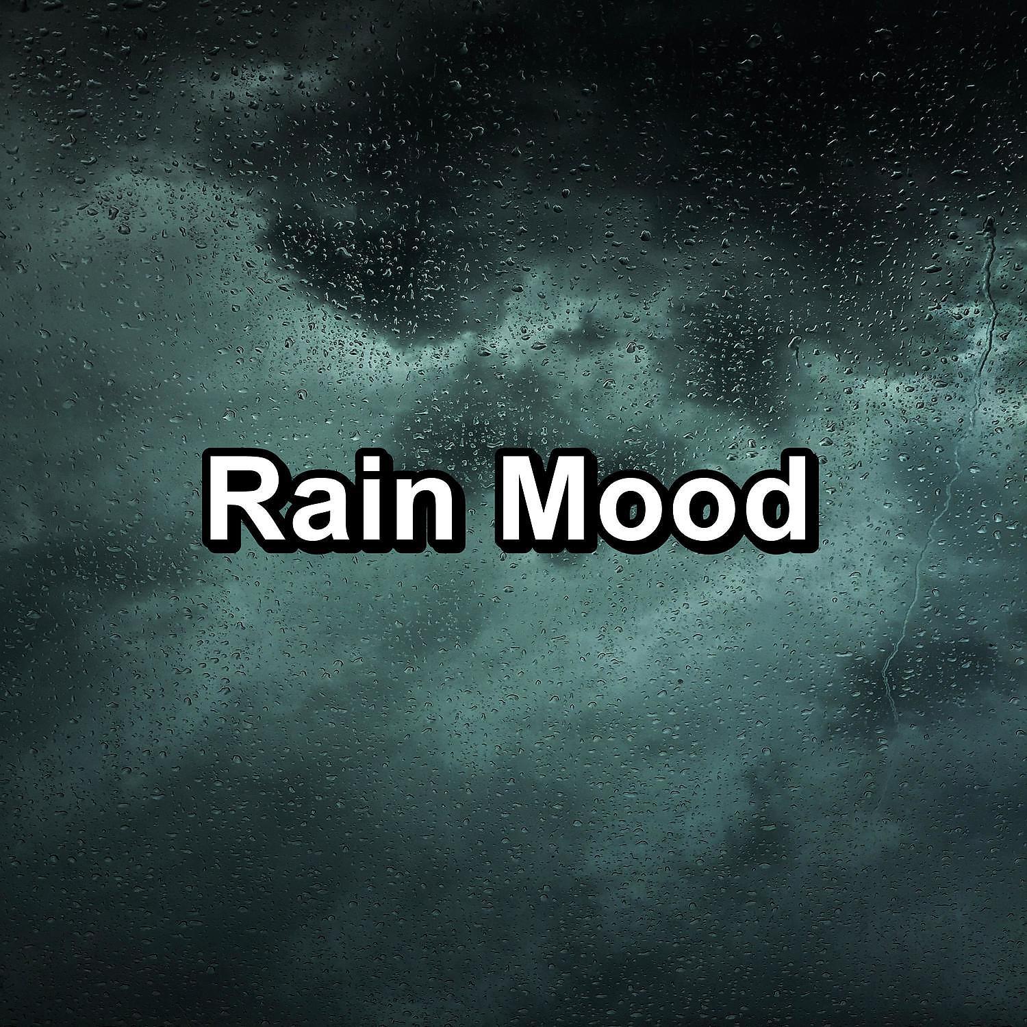 Постер альбома Rain Mood
