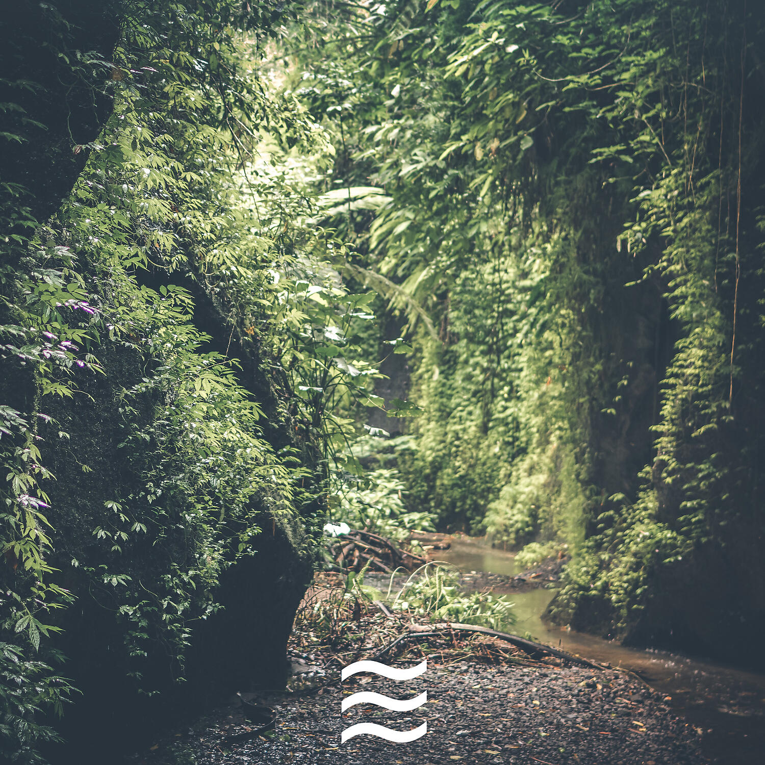 Calmful Noises with Ocean Sleep Sounds - Restful Smooth Soft Ocean Sound