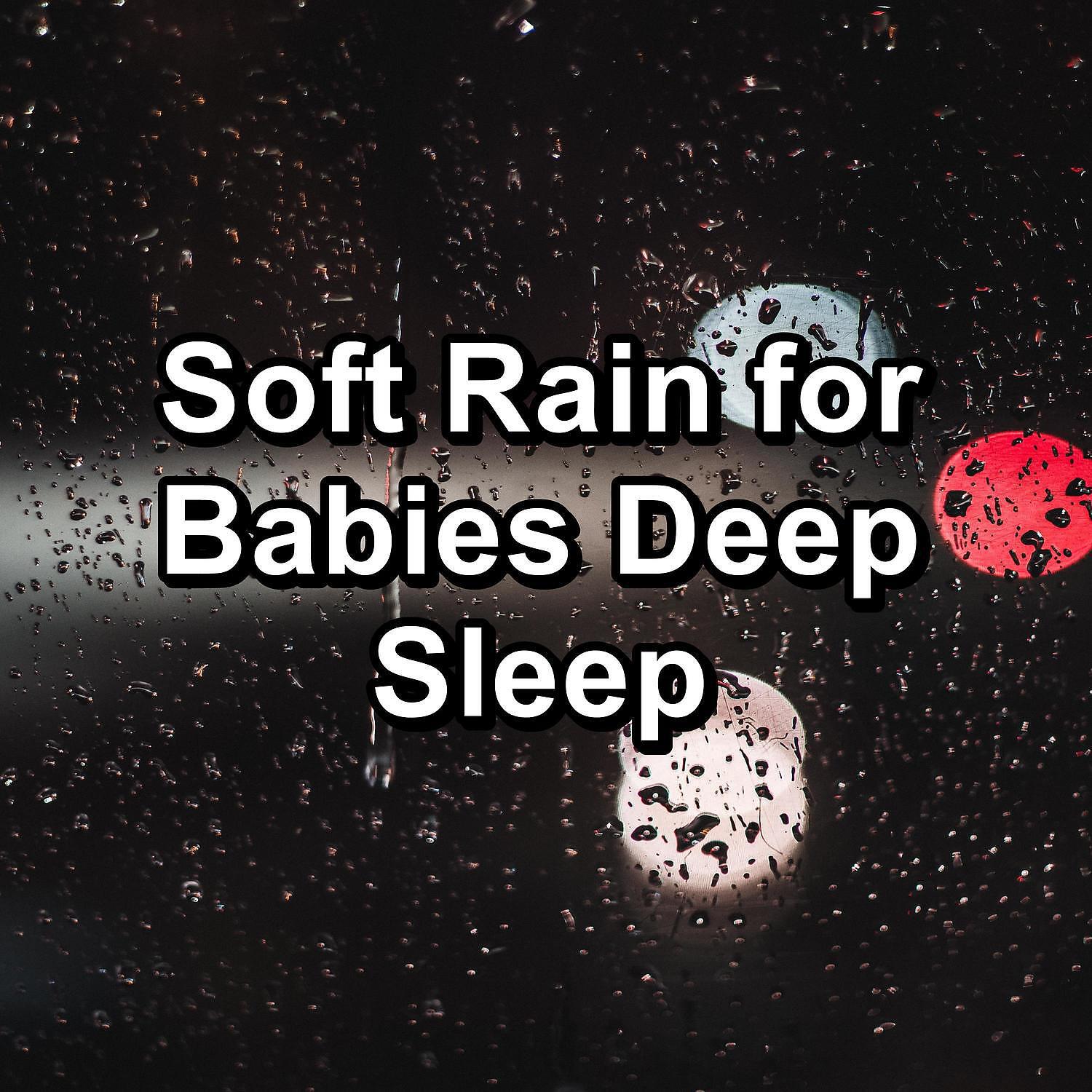 Sleep Tribe - Quiet Rain For a Peaceful Night To Sleep with for 8 Hours