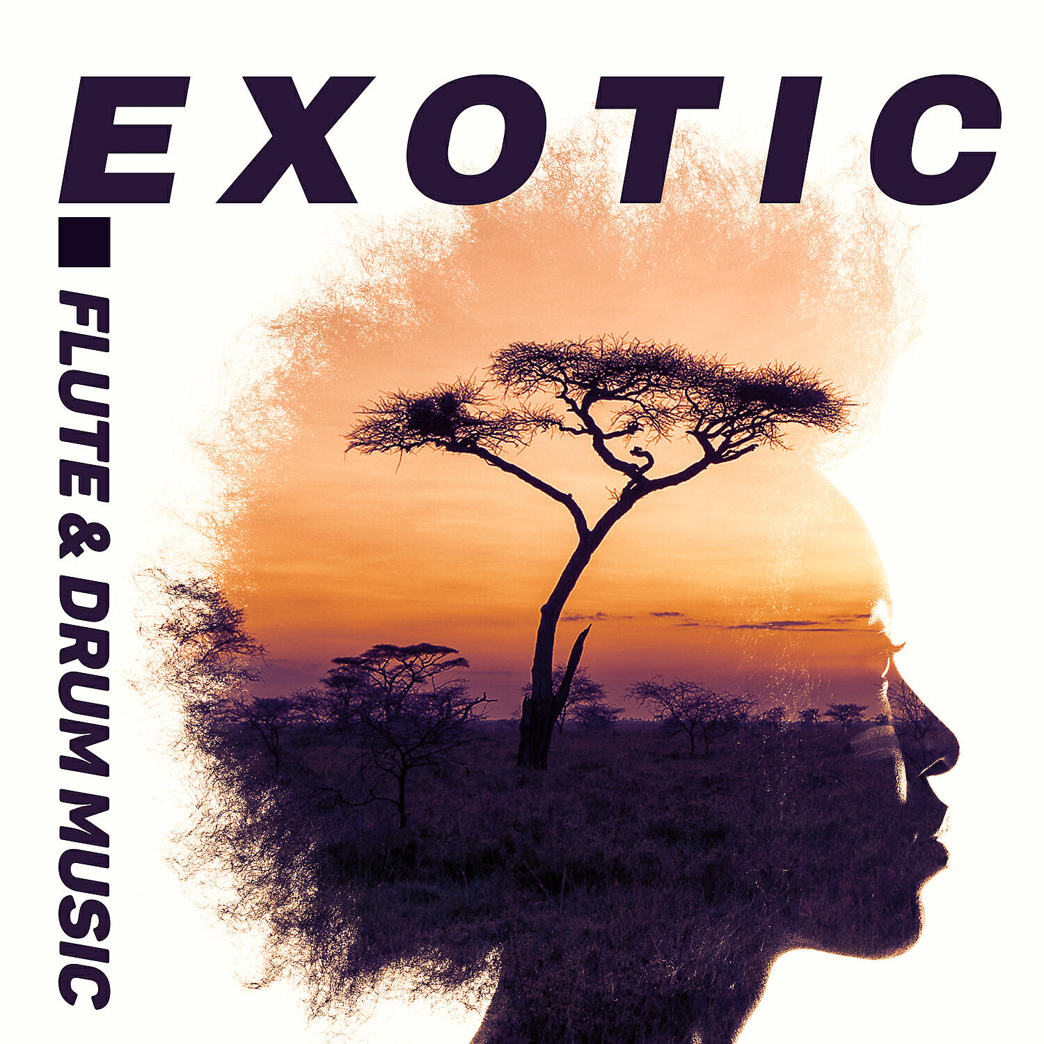 Exotic New Age Master - Source of Energy